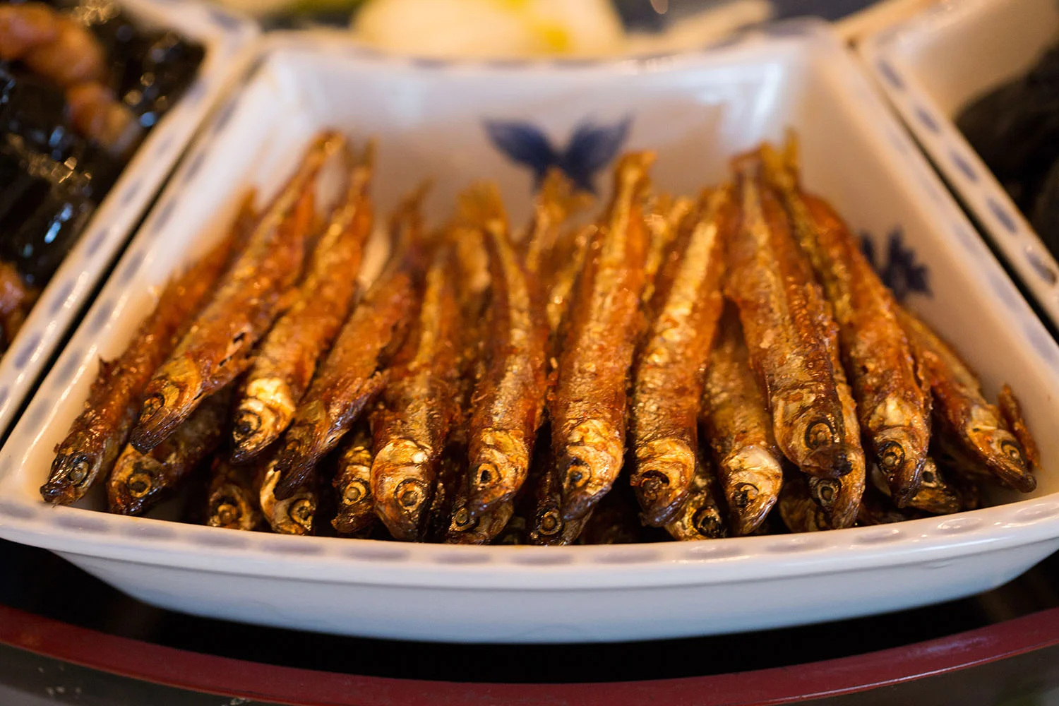 mpls fish photo.jpg