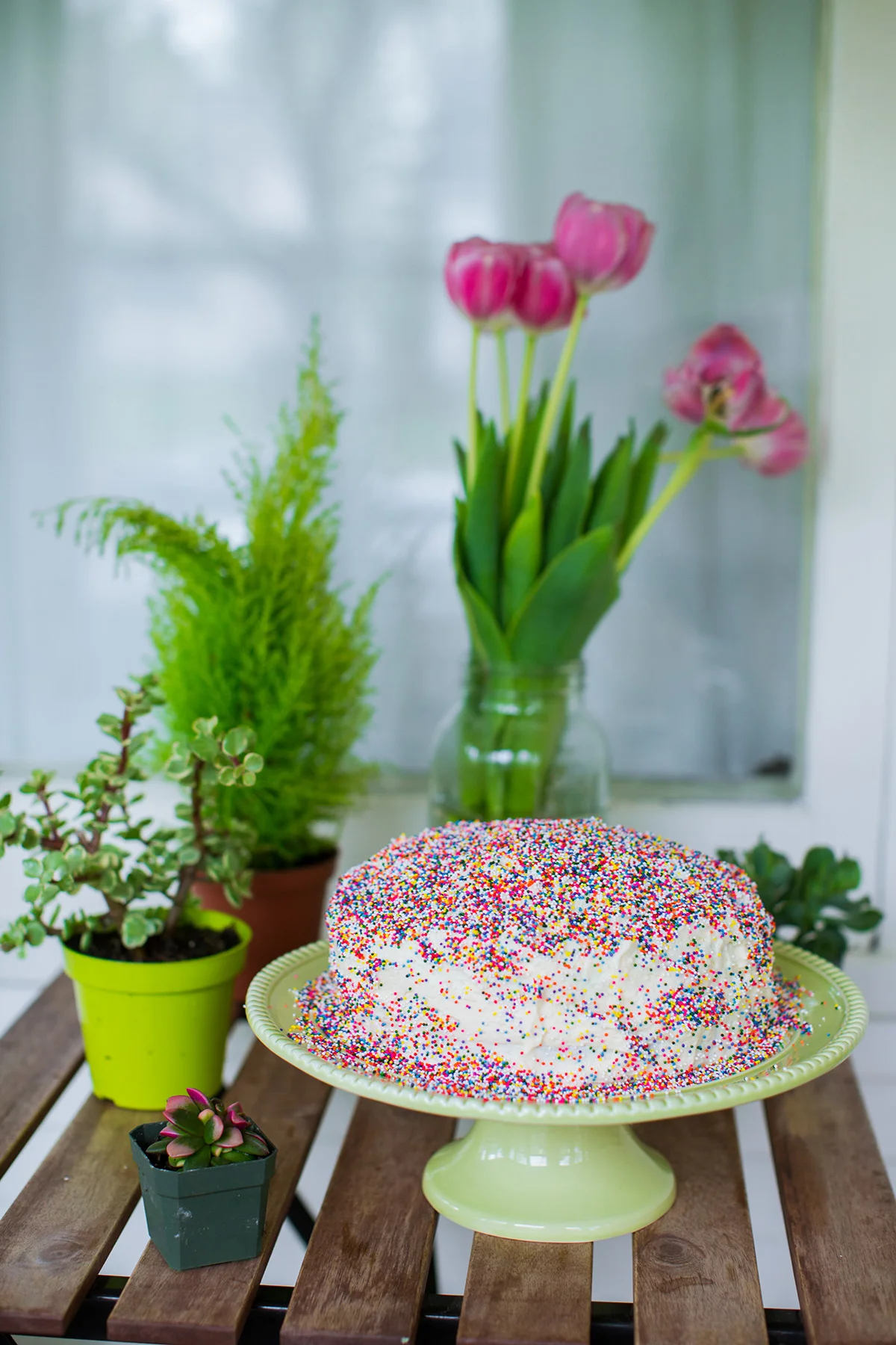 food photog.jpg