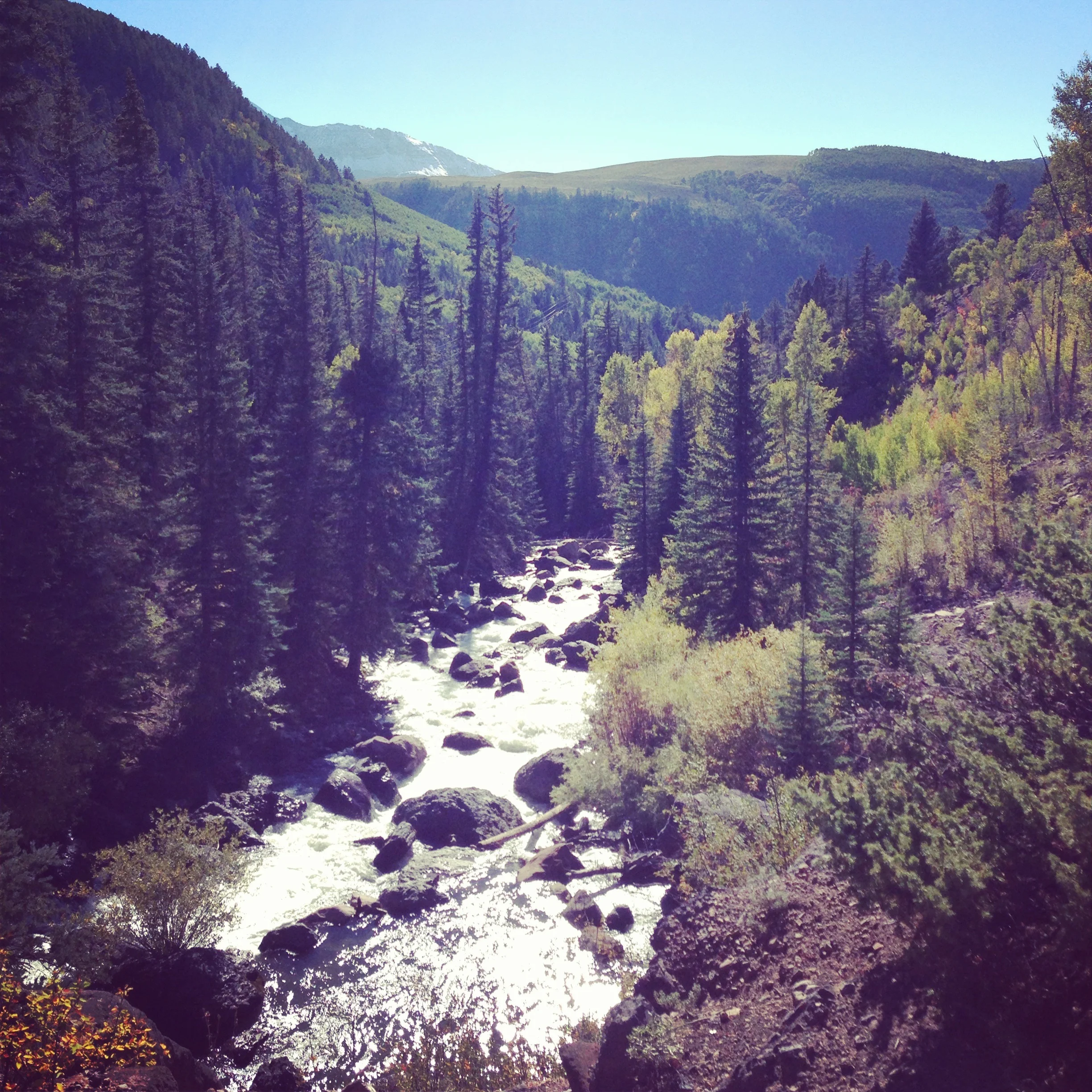 IMG_1862 (1).jpg