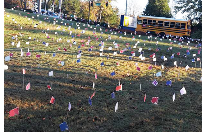 Veteran's Day 2015_FD Flags.jpg