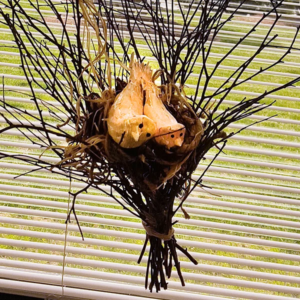 TapRound3_Birds_crop_web150.jpg