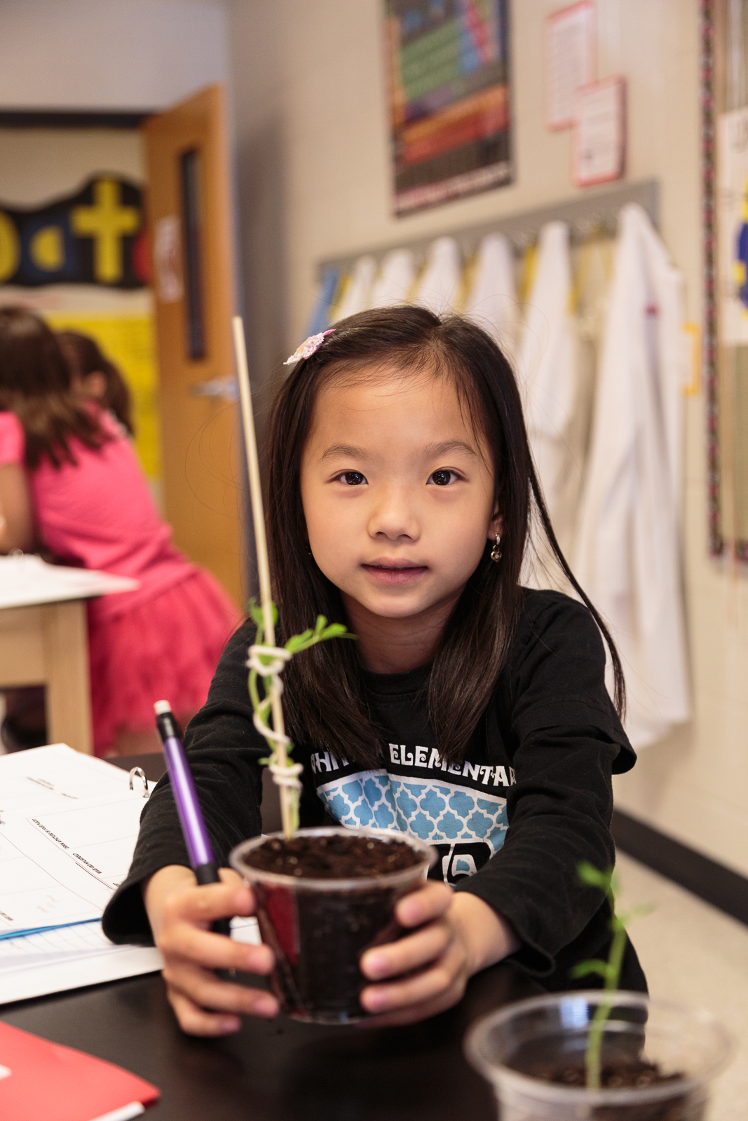  … and others used different light sources (direct sunlight, red light from a lamp, and low lighting/shade) to grow their plants… 