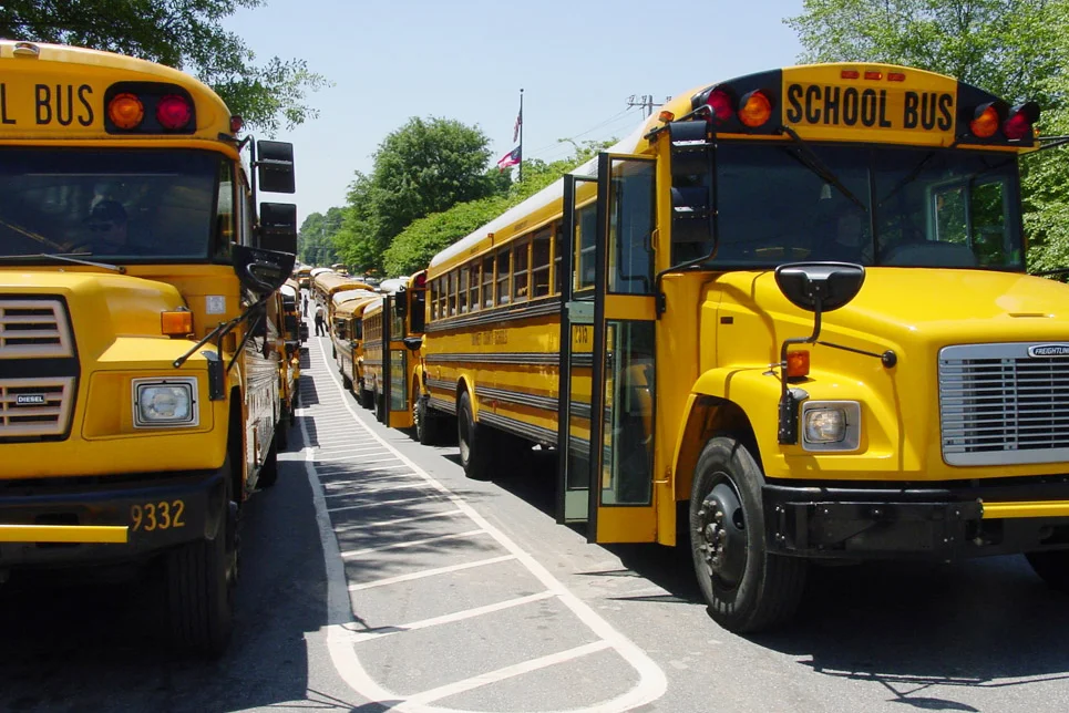 Buses in line