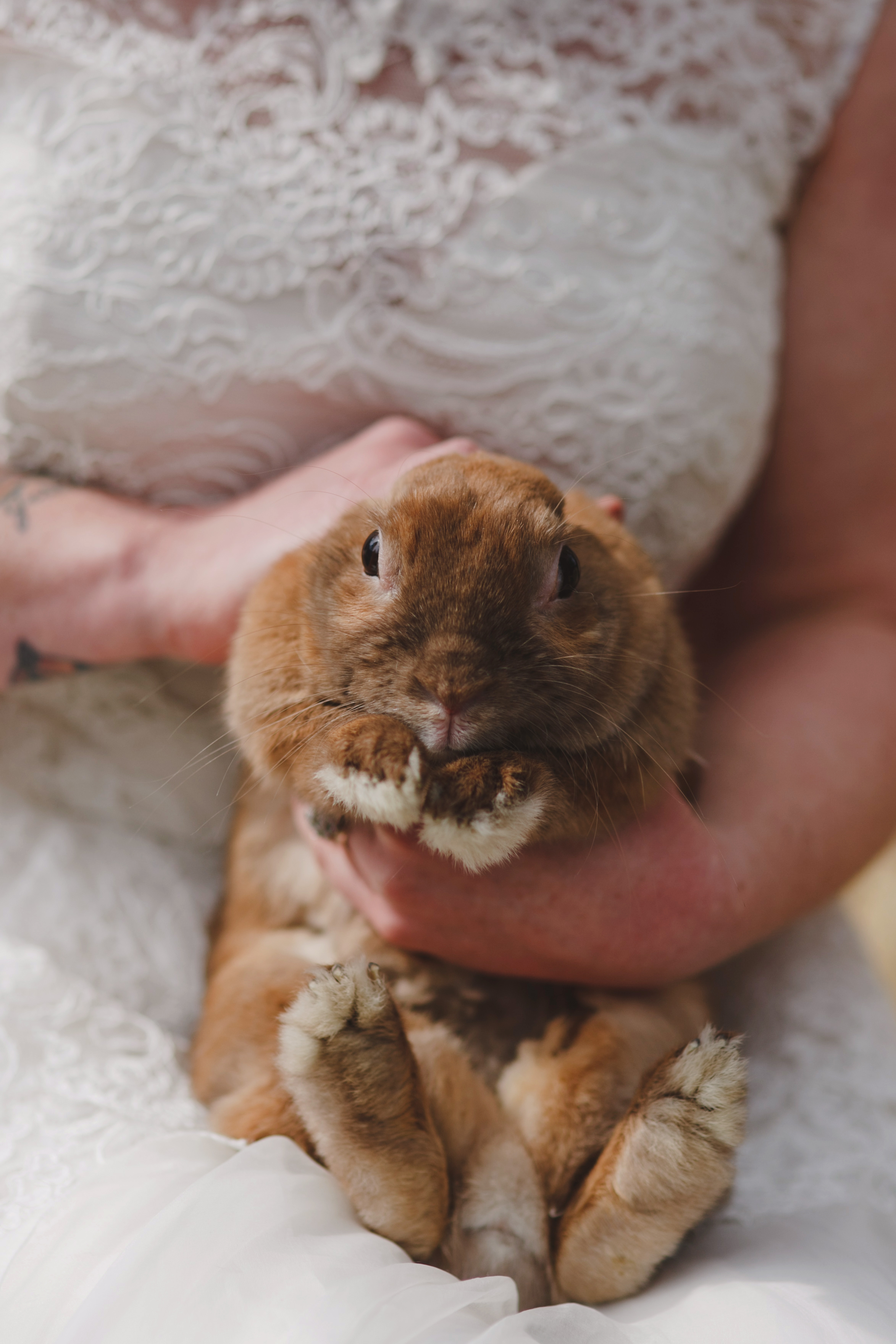 Peter Rabbit Styled Shoot — Love Me Do Photography