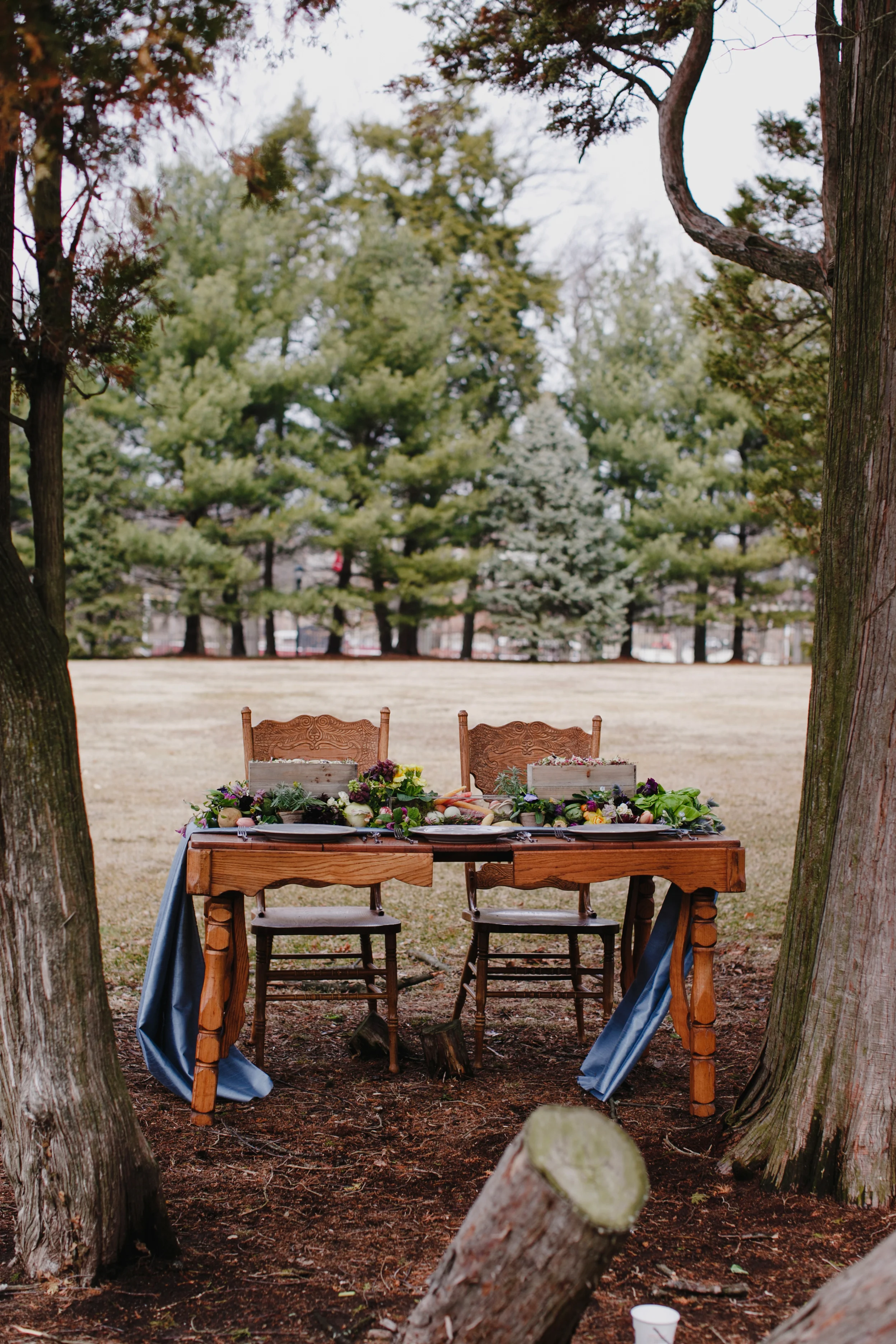 peterrabbit086.jpg