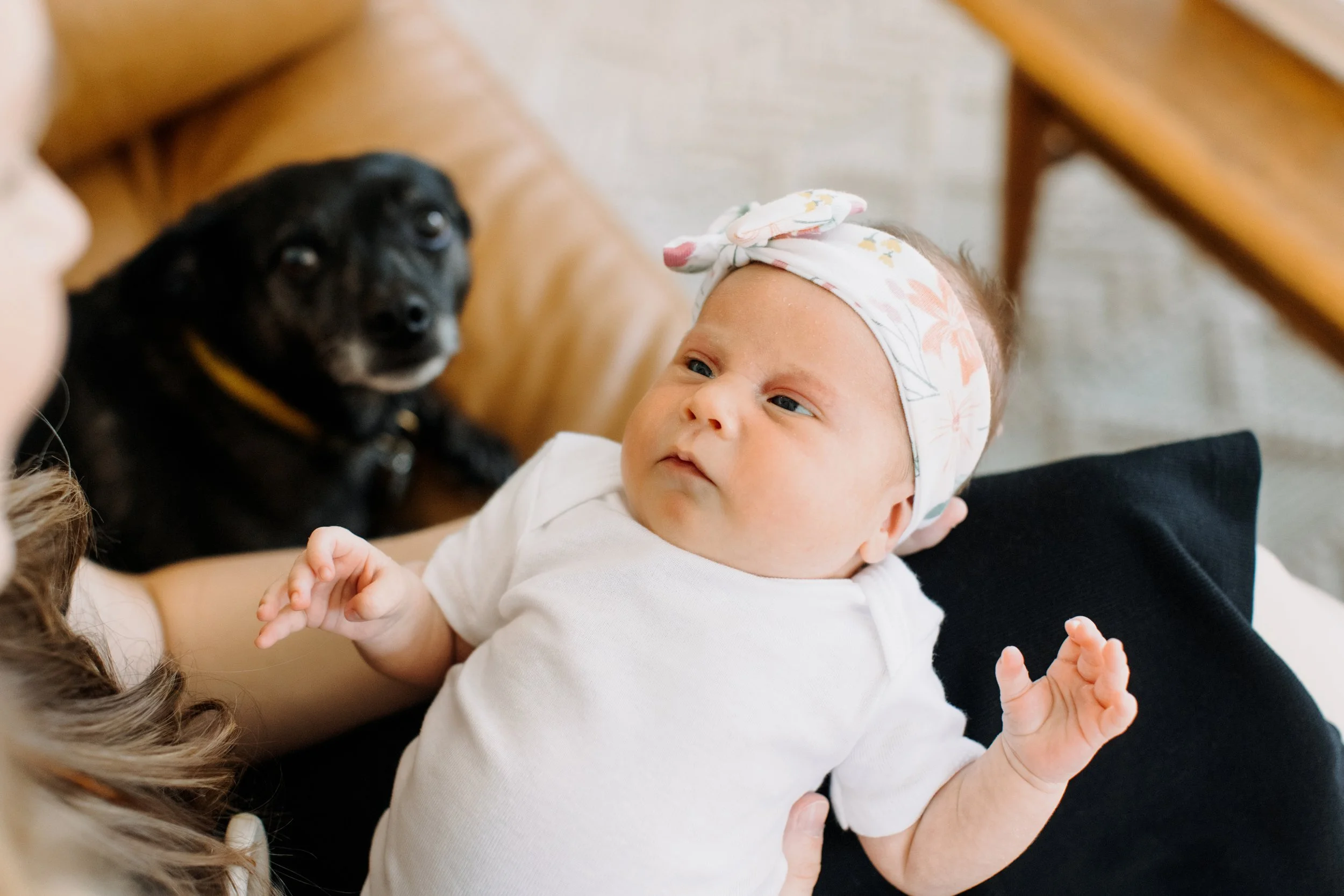Lucy | Newborn Session