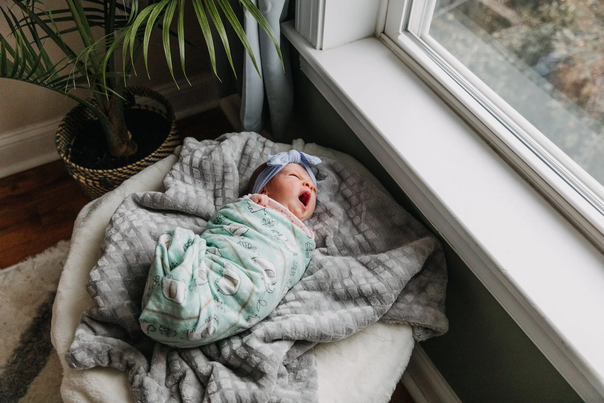 Sienna | Newborn Session | Philadelphia, Pa