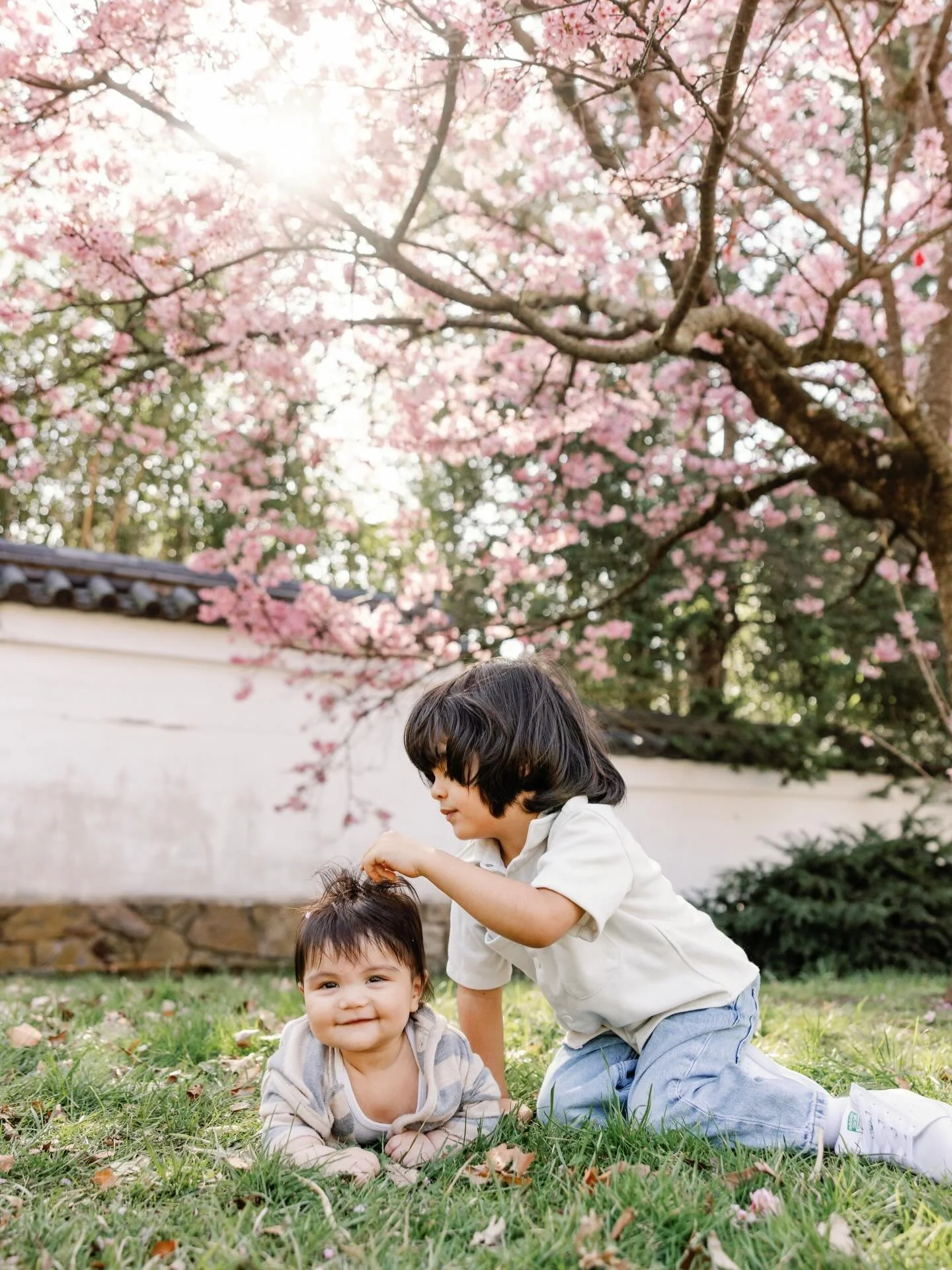 Today is our first day of Cherry Blossom sessions in Philadelphia! So far everything is looking great out there, so much that we decided to add an additional day of sessions! If you follow the link in our bio, I&rsquo;ve added 4/6 from 3-5pm availabl