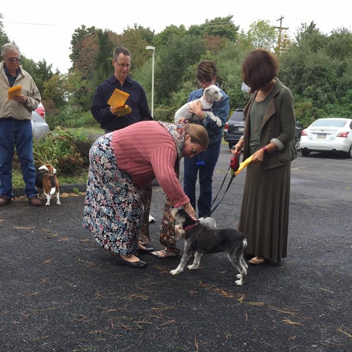 Blessing of the Animals2 2016.jpg