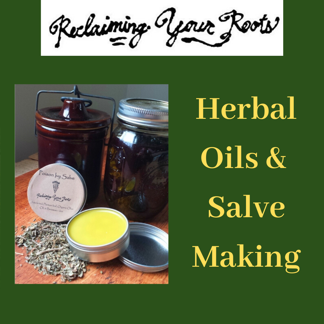 Salve Class Image for Website.png