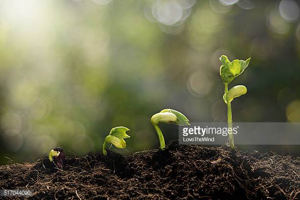 Photo by LoveTheWind/iStock / Getty Images
