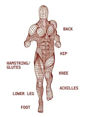 The Fascial System - how to embrace your innate complexity