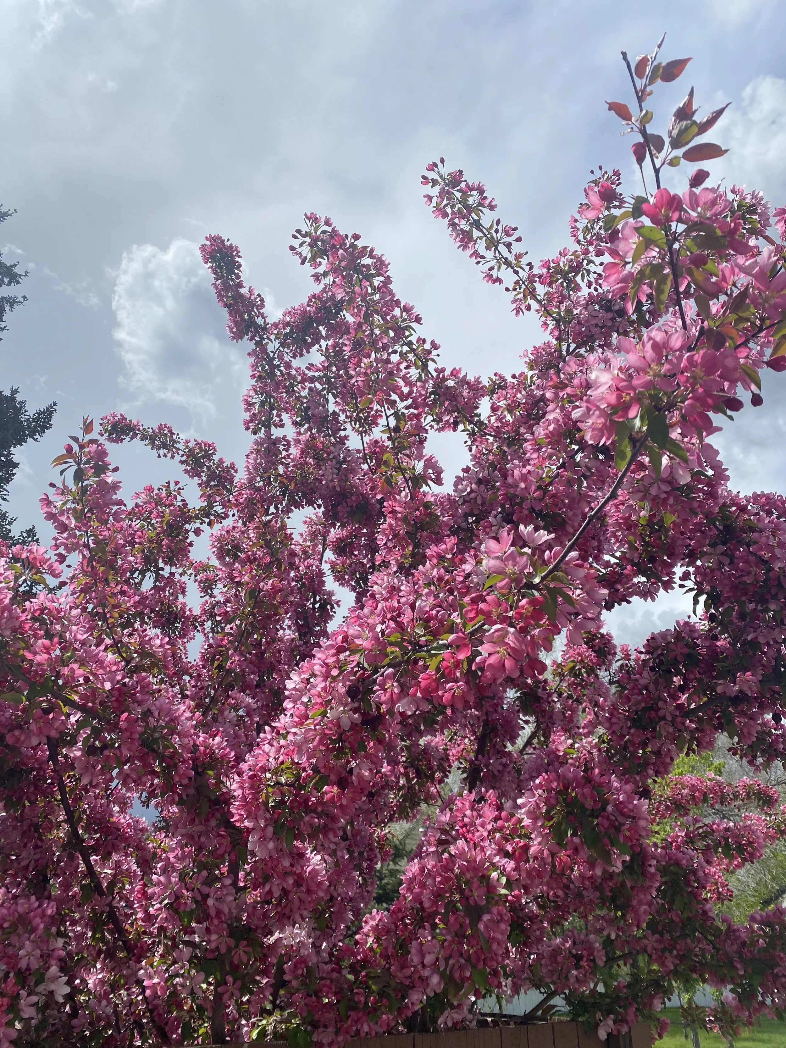 Weaving and Integrating