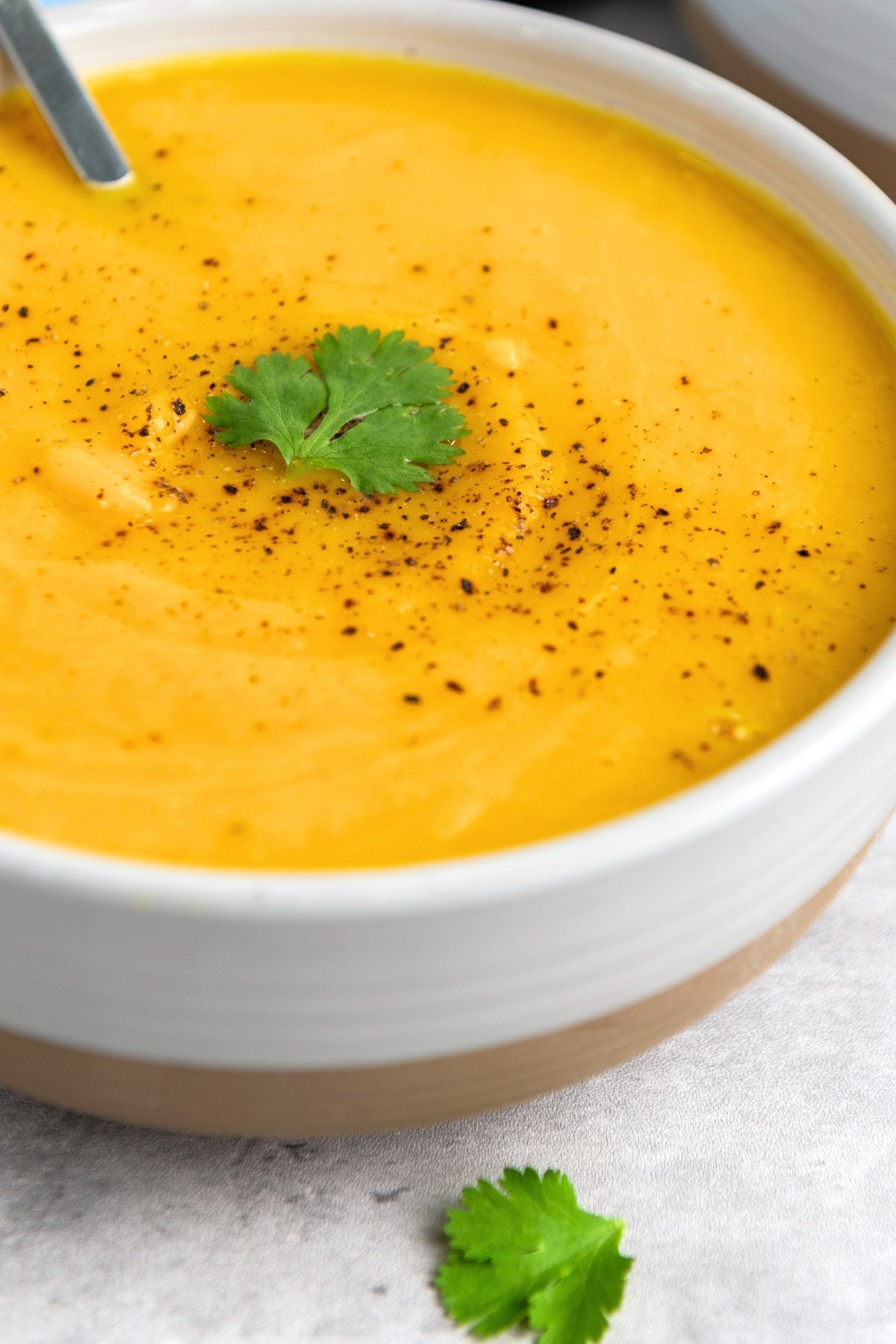 Savory-Butternut-Squash-Soup-Gluten-Free-Vegan_Final5.jpg