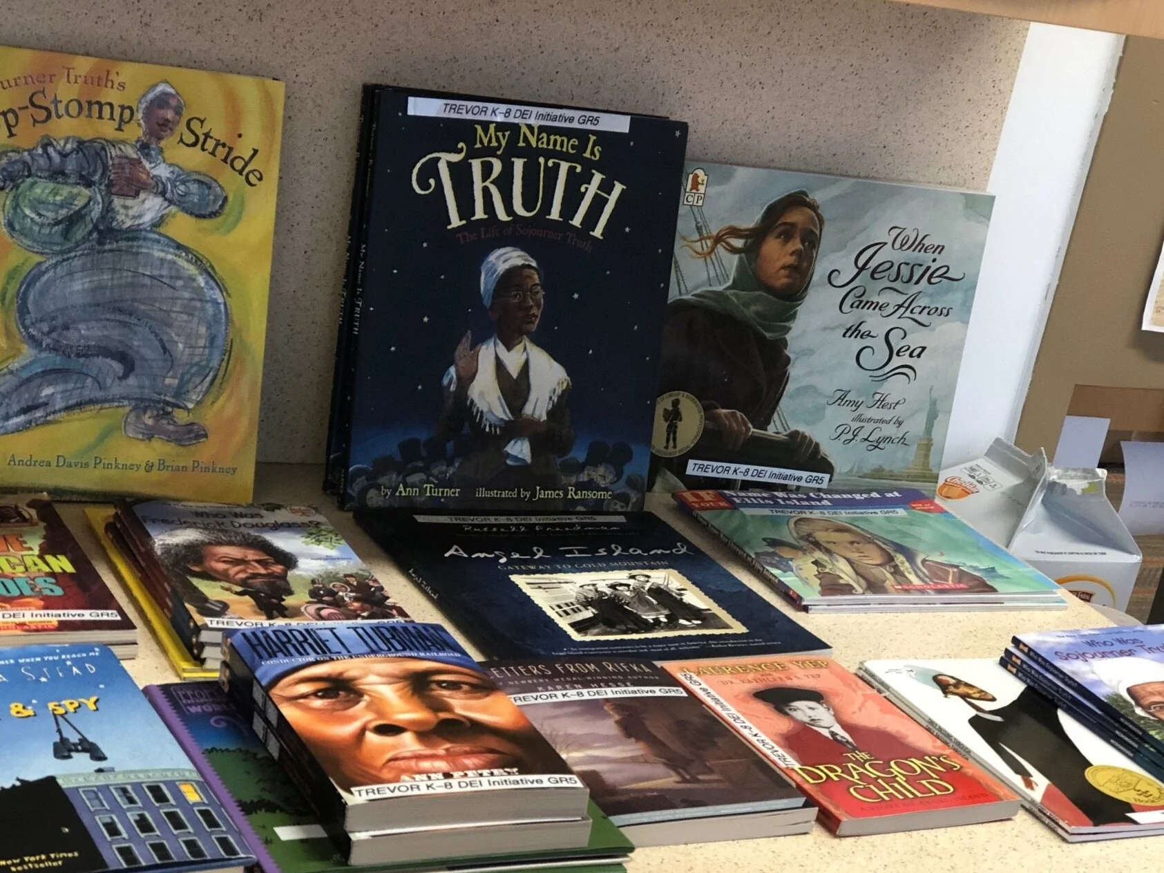 Diversity in Literature