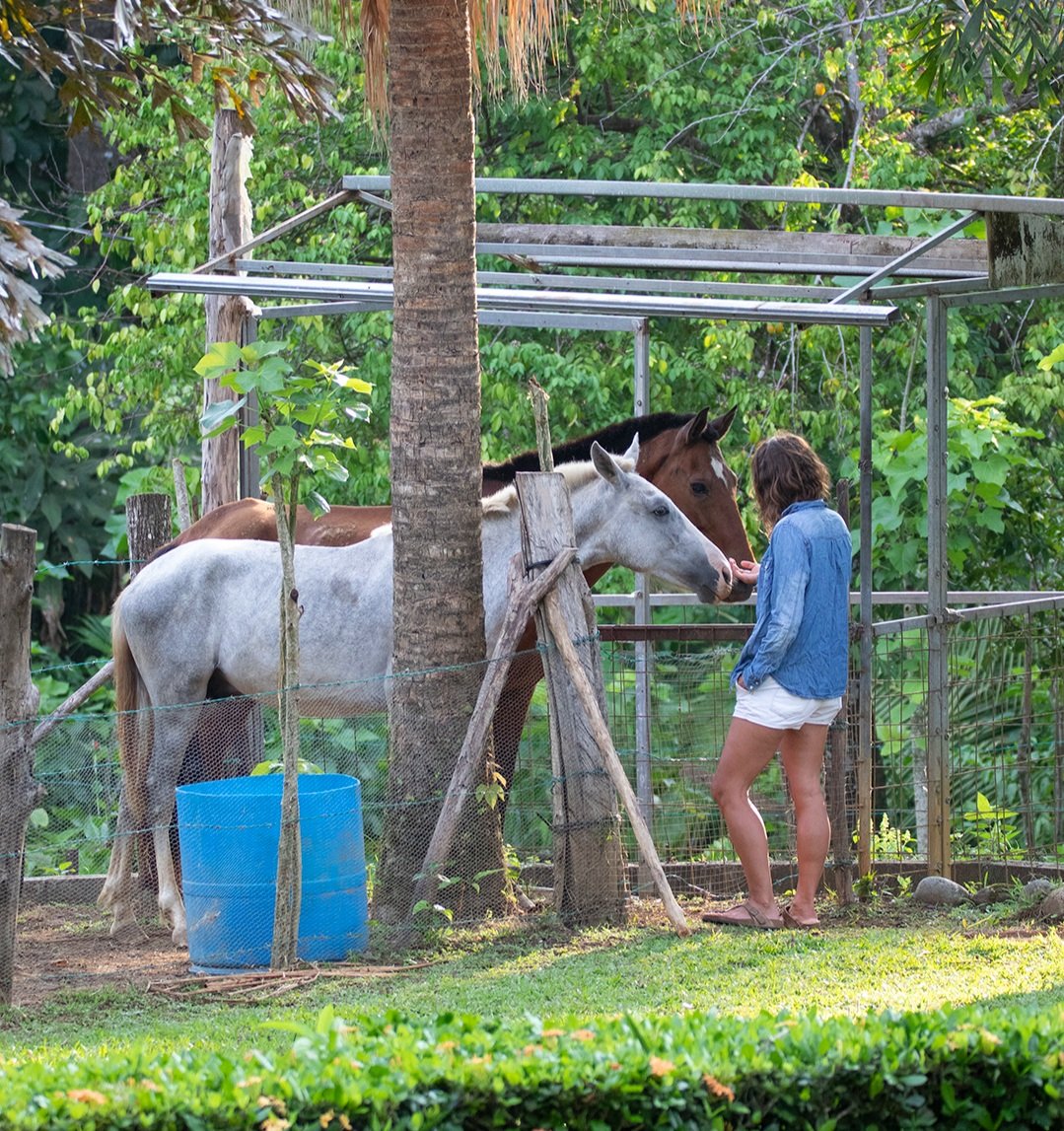 andrea and horses.jpg