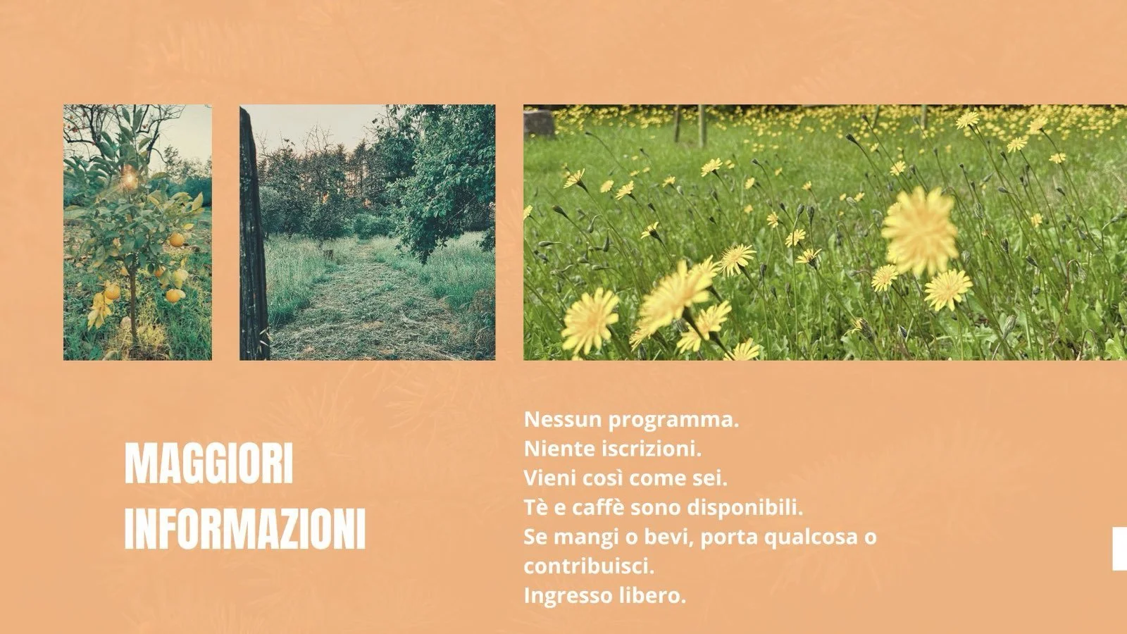 Black Modern Nature Presentation.zip - 7.jpg