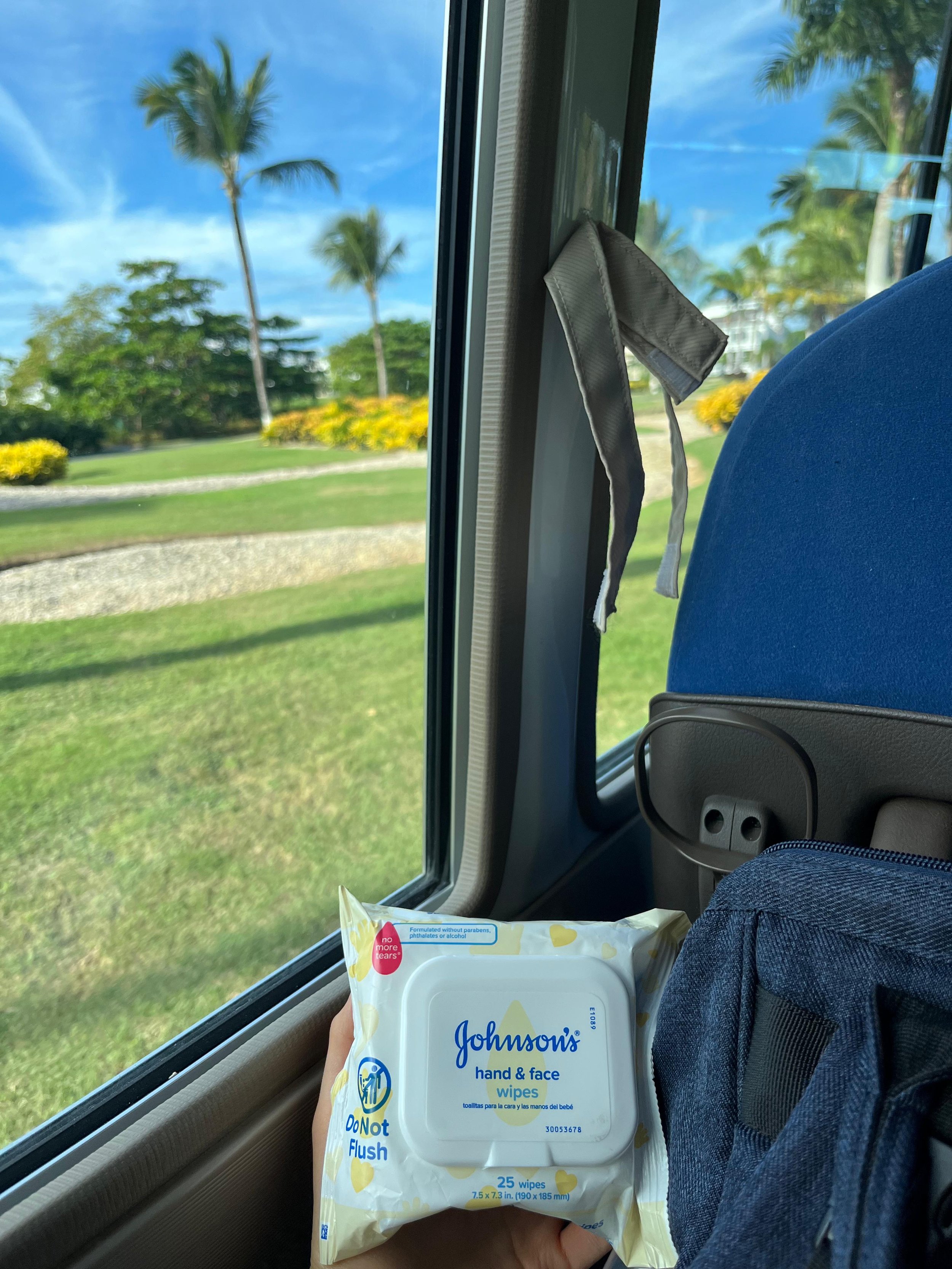 Blog_Vaca14.jpeg