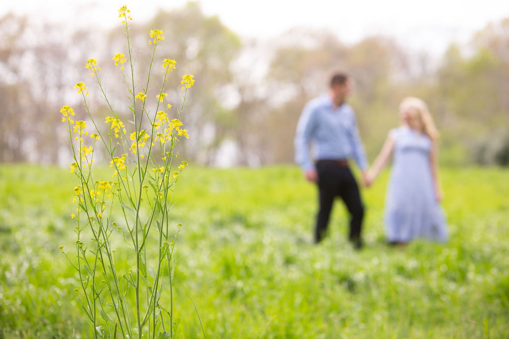 Melissa_Harry_Engagement_184.jpg