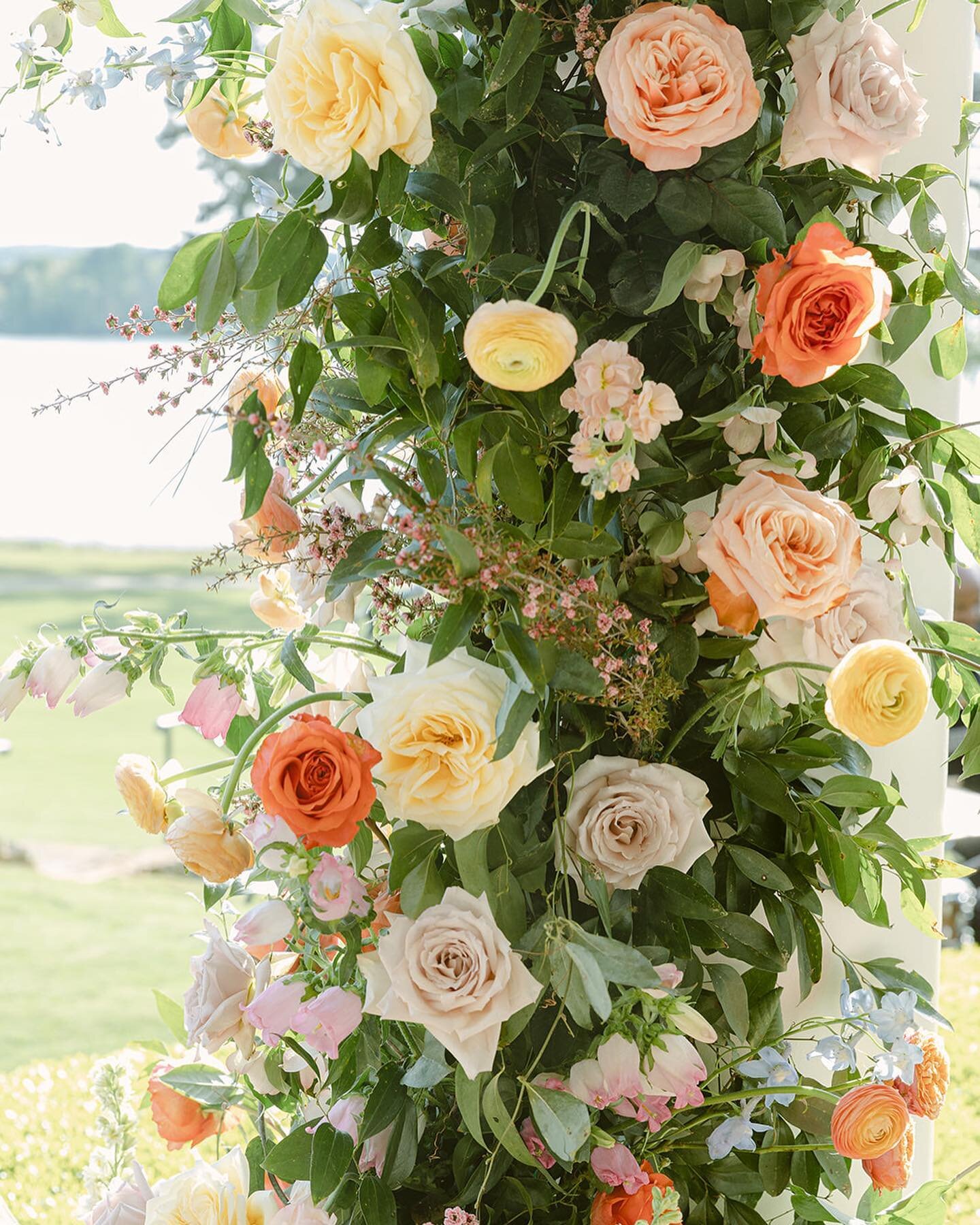 MAY FLOWERS 🌸

All the heart eyes for Jess and Nick's color palette - Jess wanted bright, Spring, blooms and @springvine delivered! A perfect fit for their lakefront April wedding 😍

📷: @allblissphoto_marylou | @springvine | @nuagedesignsinc | @vi