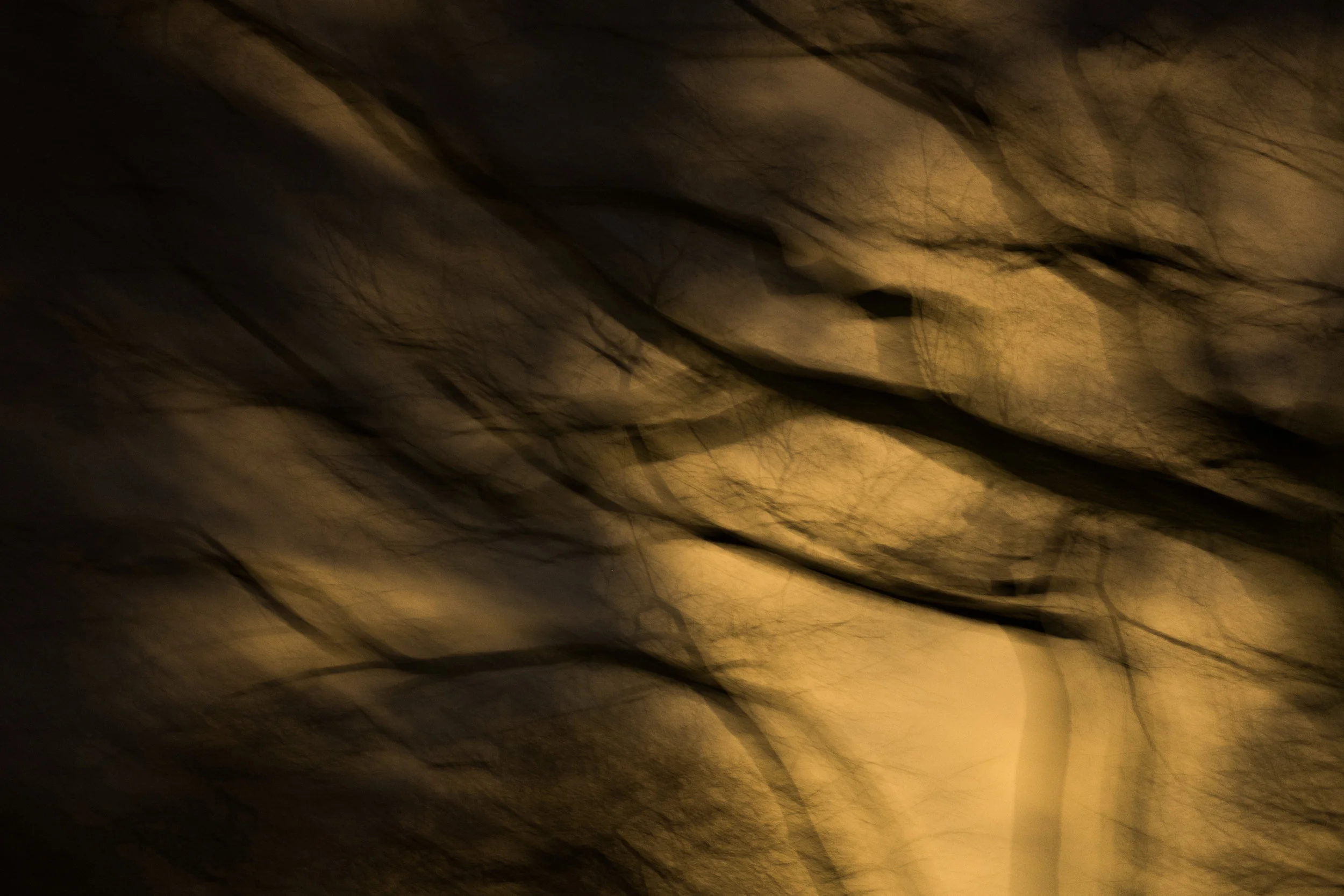 DSCF7693.jpg
