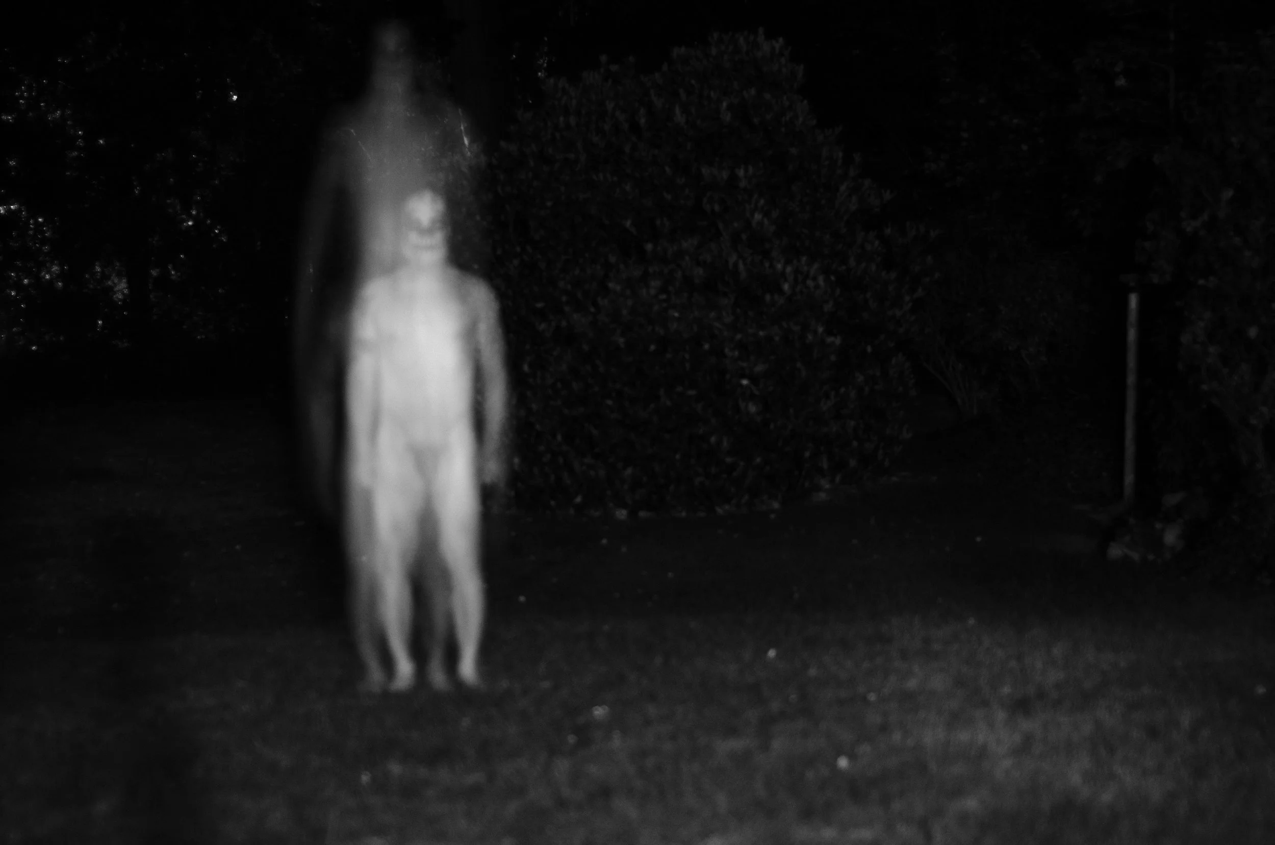 DSC_2780.jpg