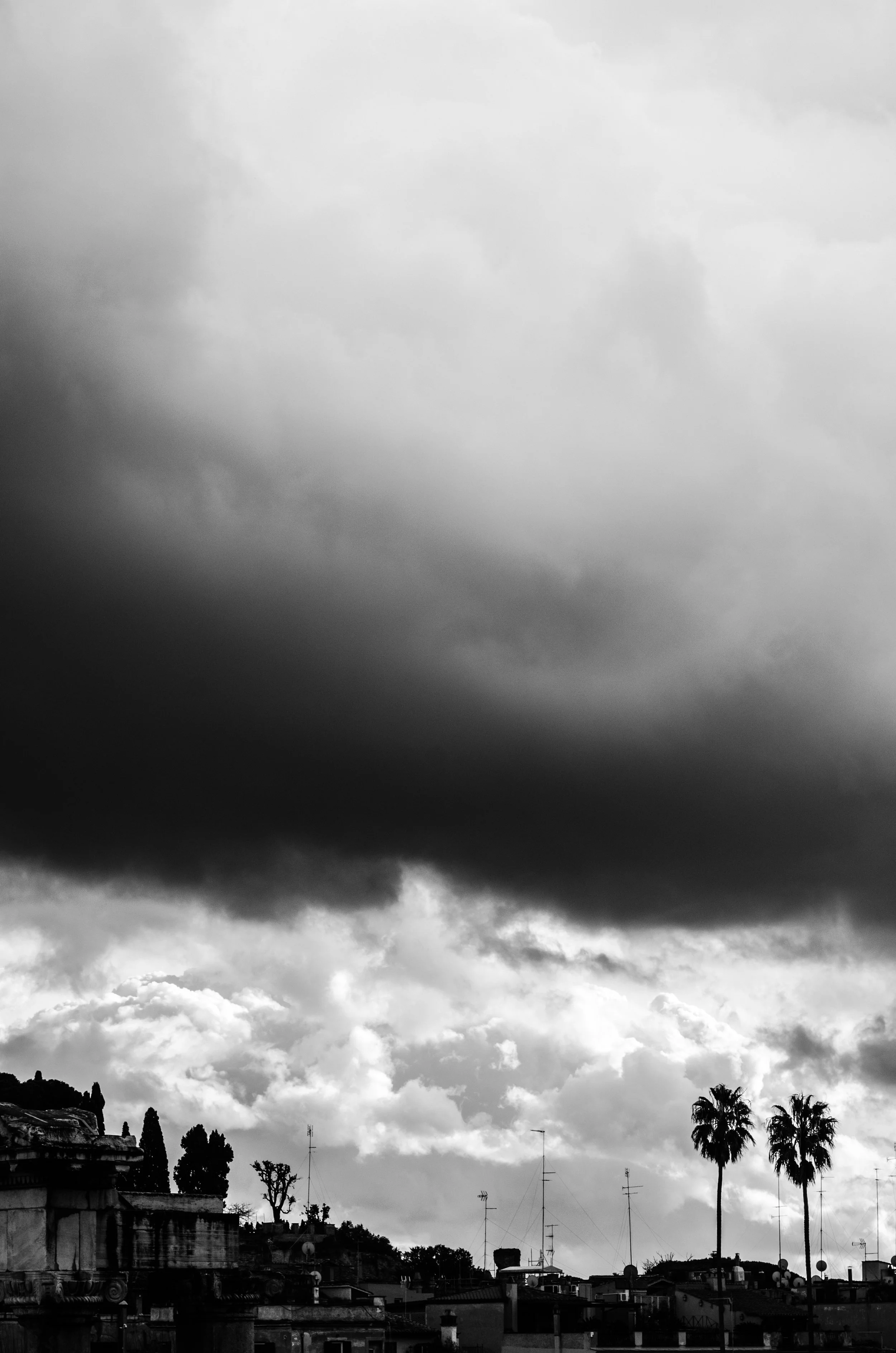 DSC_9764.jpg