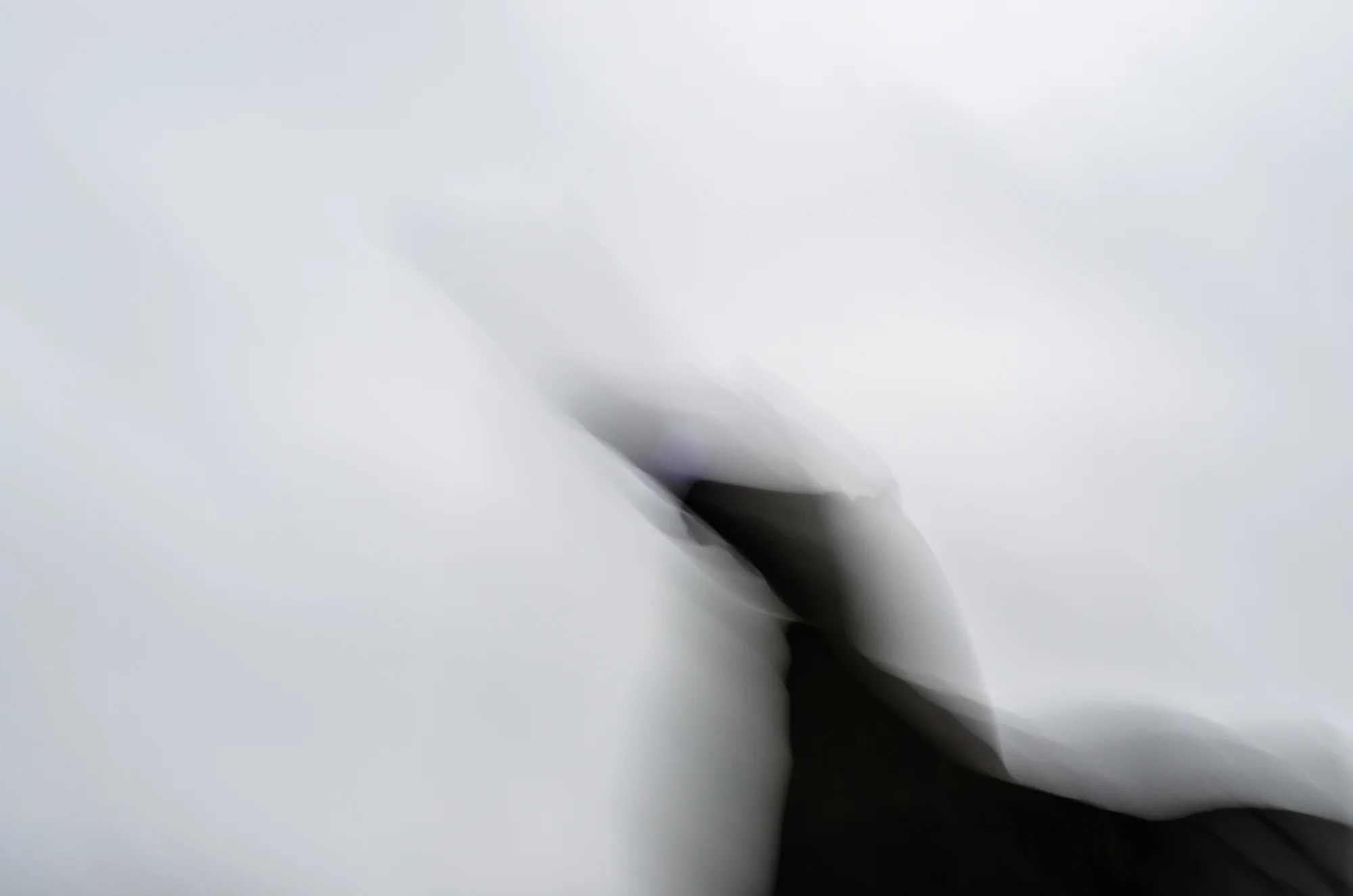 kellydr-14.jpg