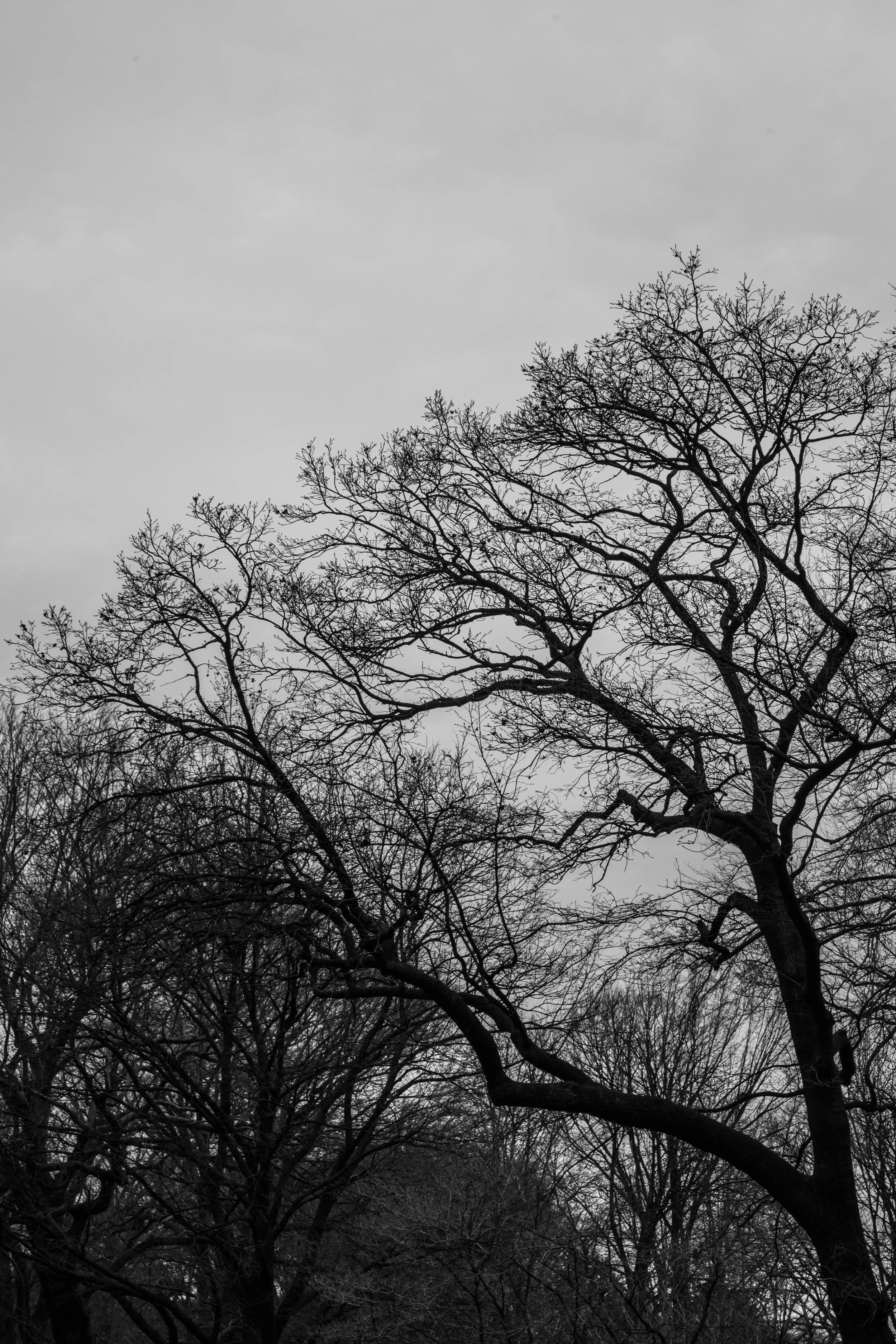DSCF1389.jpg