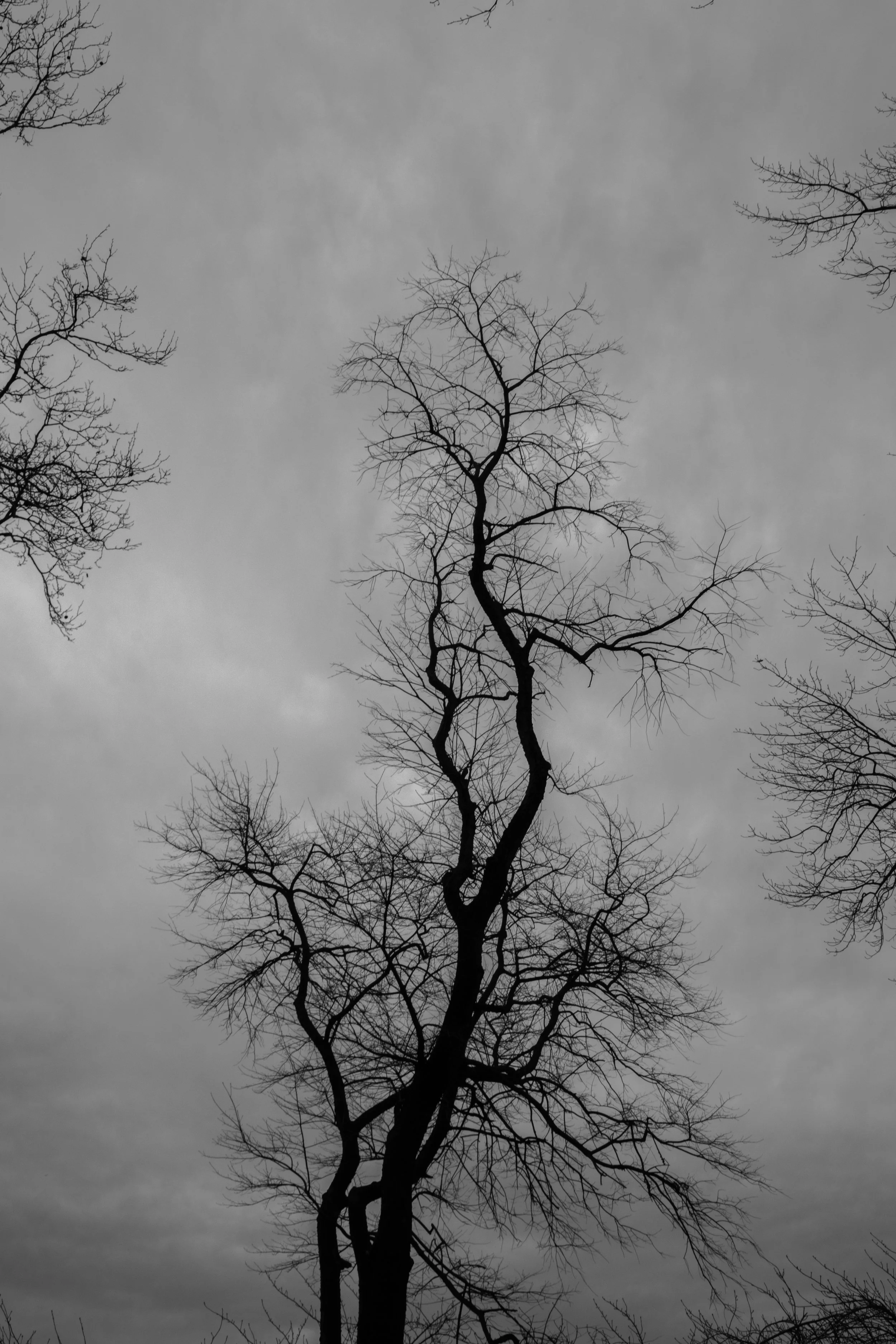 DSCF1525.jpg