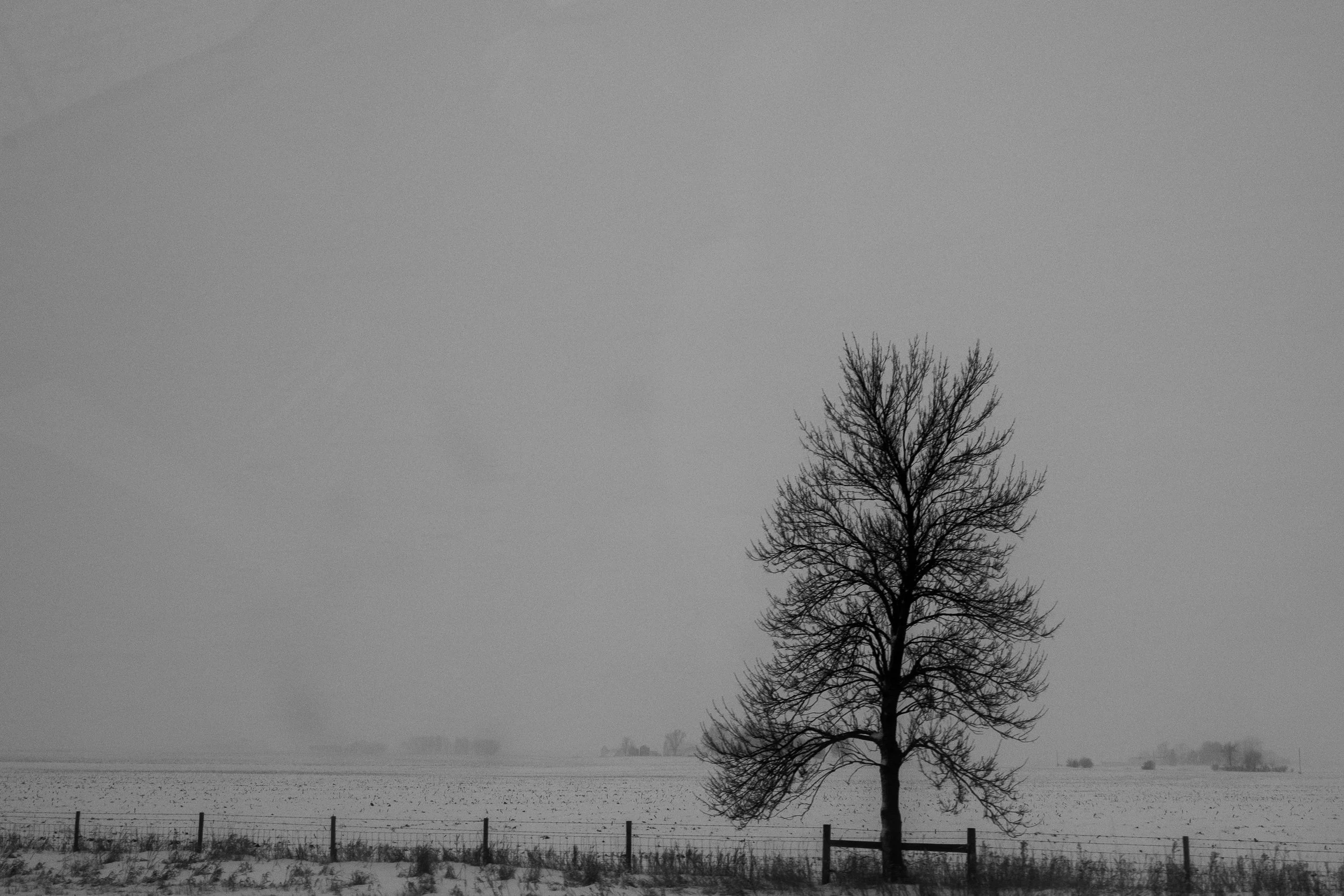 DSCF2170.jpg