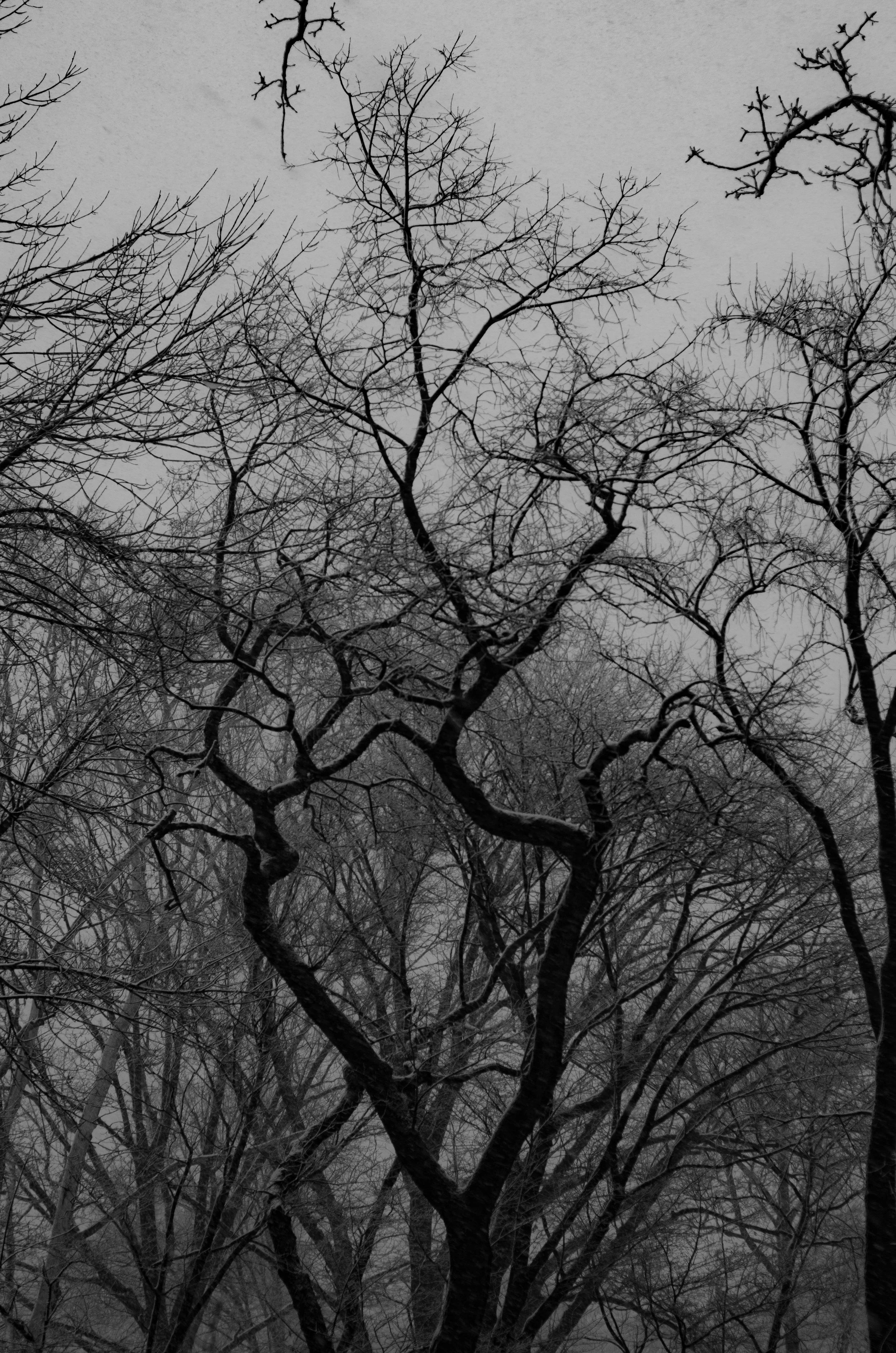 DSC_8791.jpg