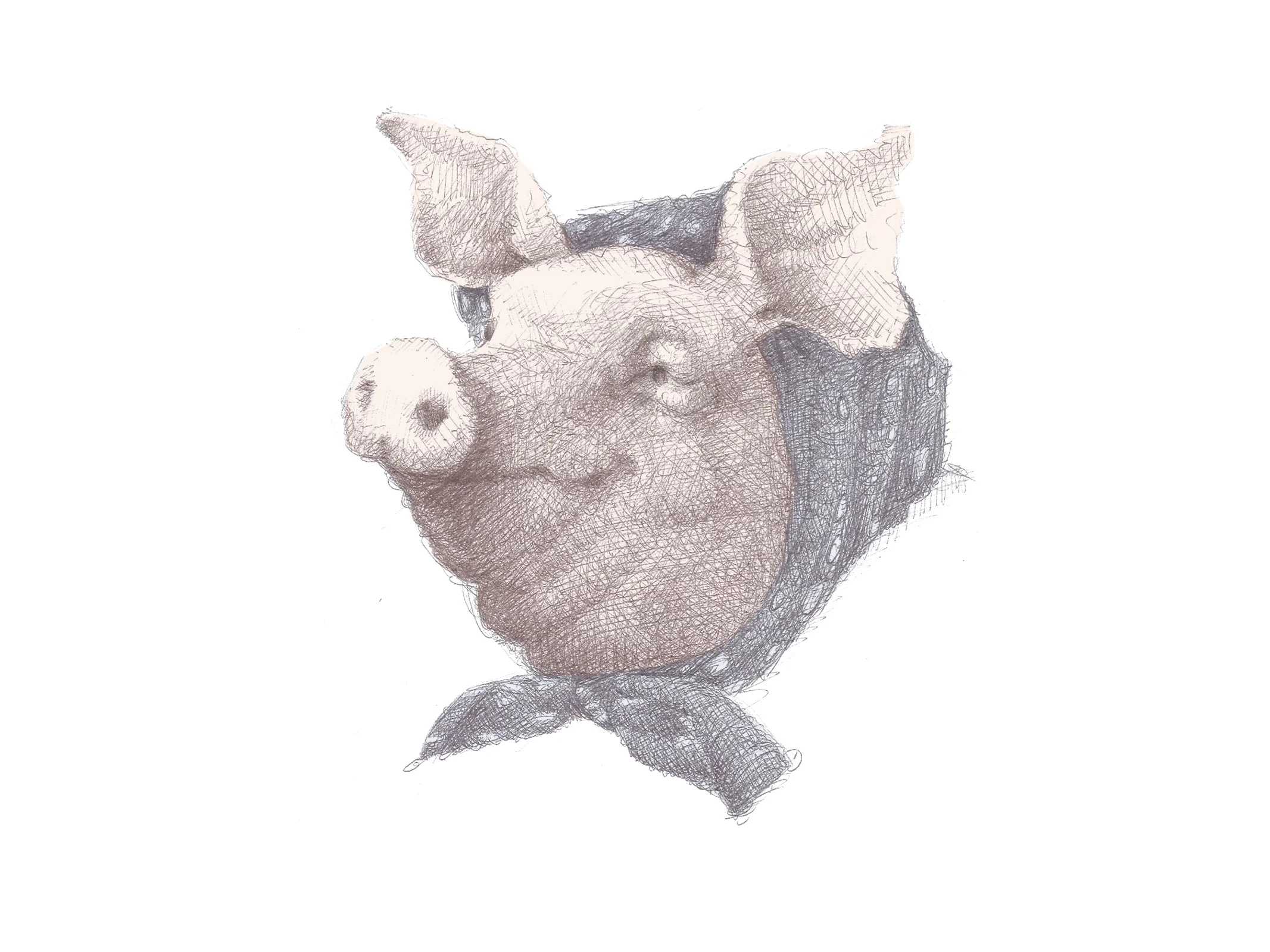 TT:Pippin Pig.jpg
