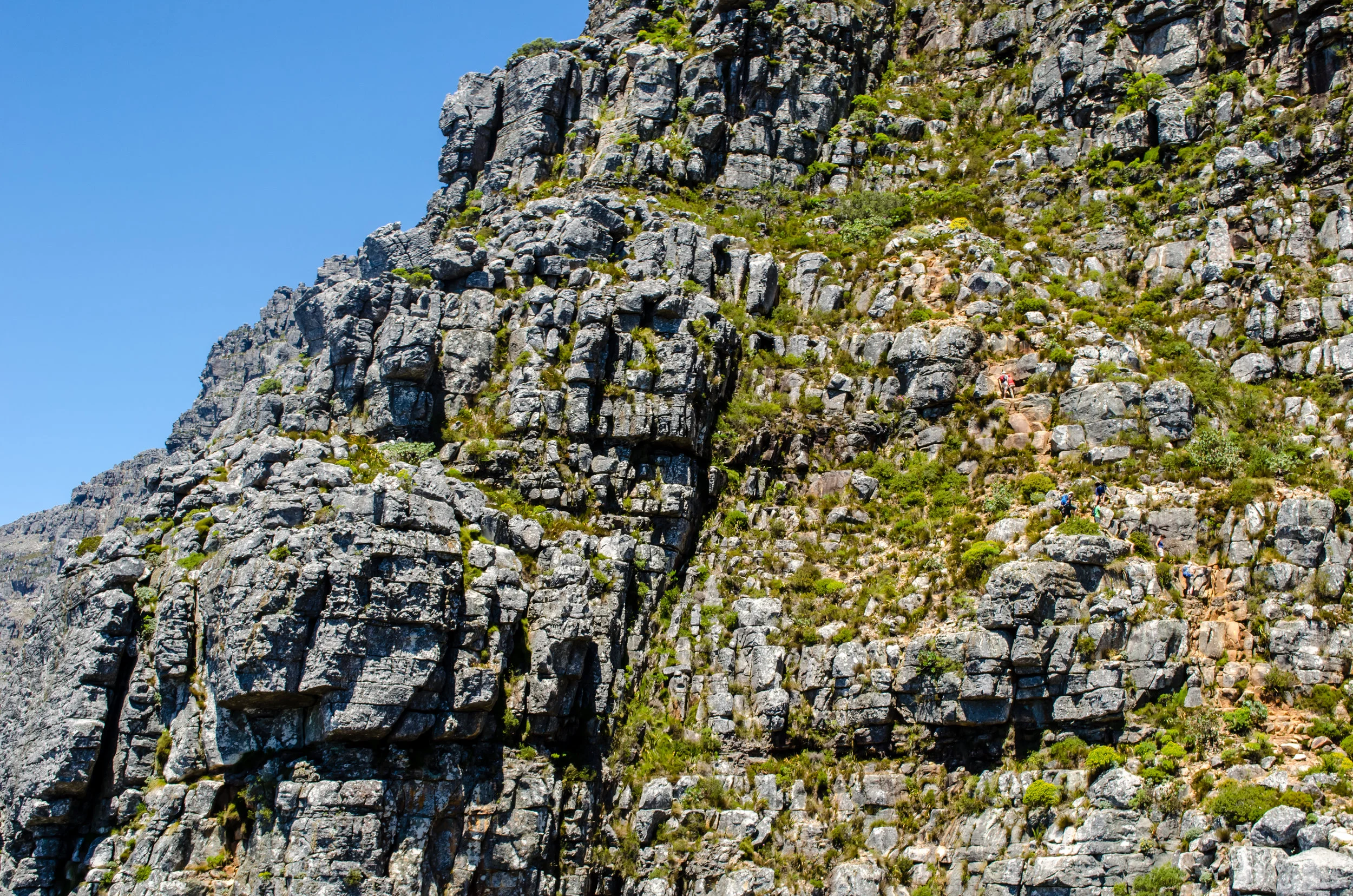 hikers-table-mountain.jpg