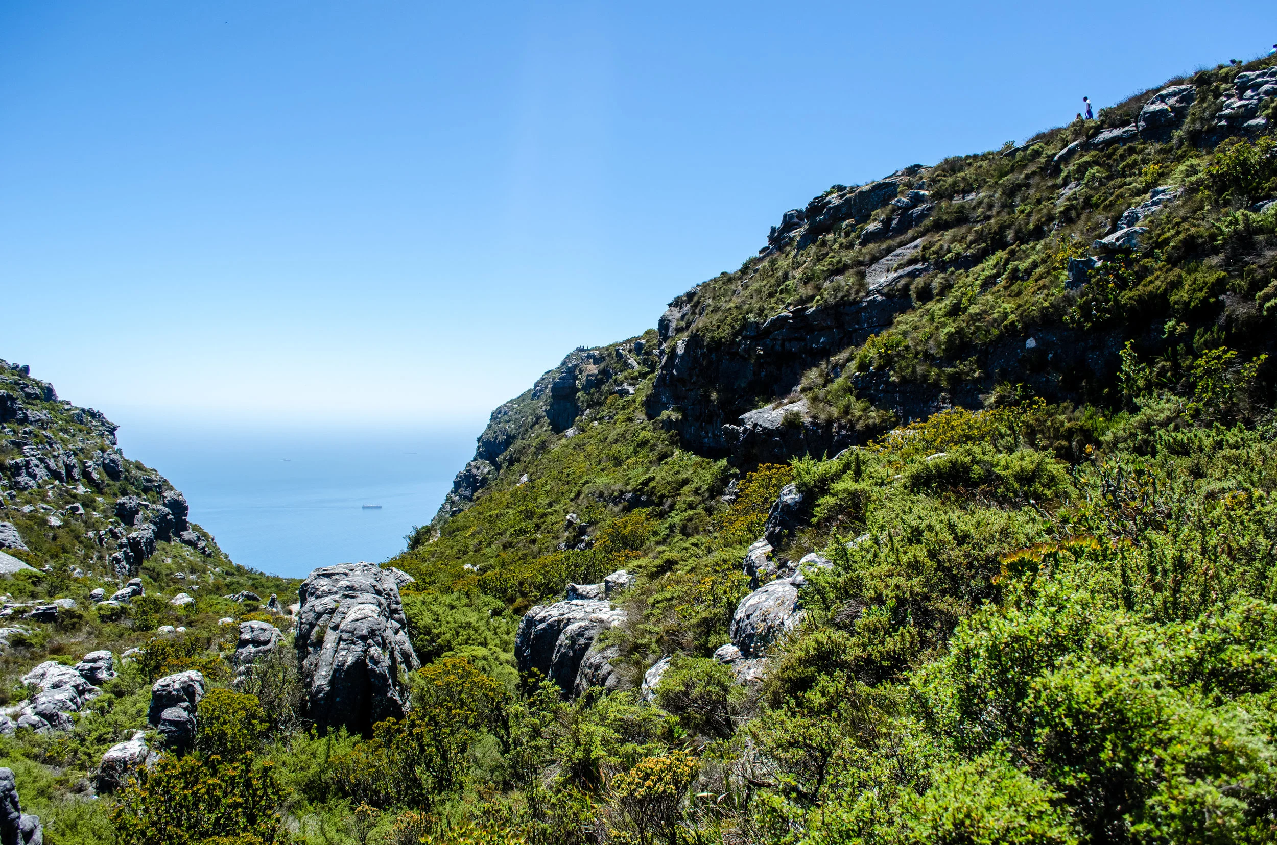 table-mountain-3.jpg