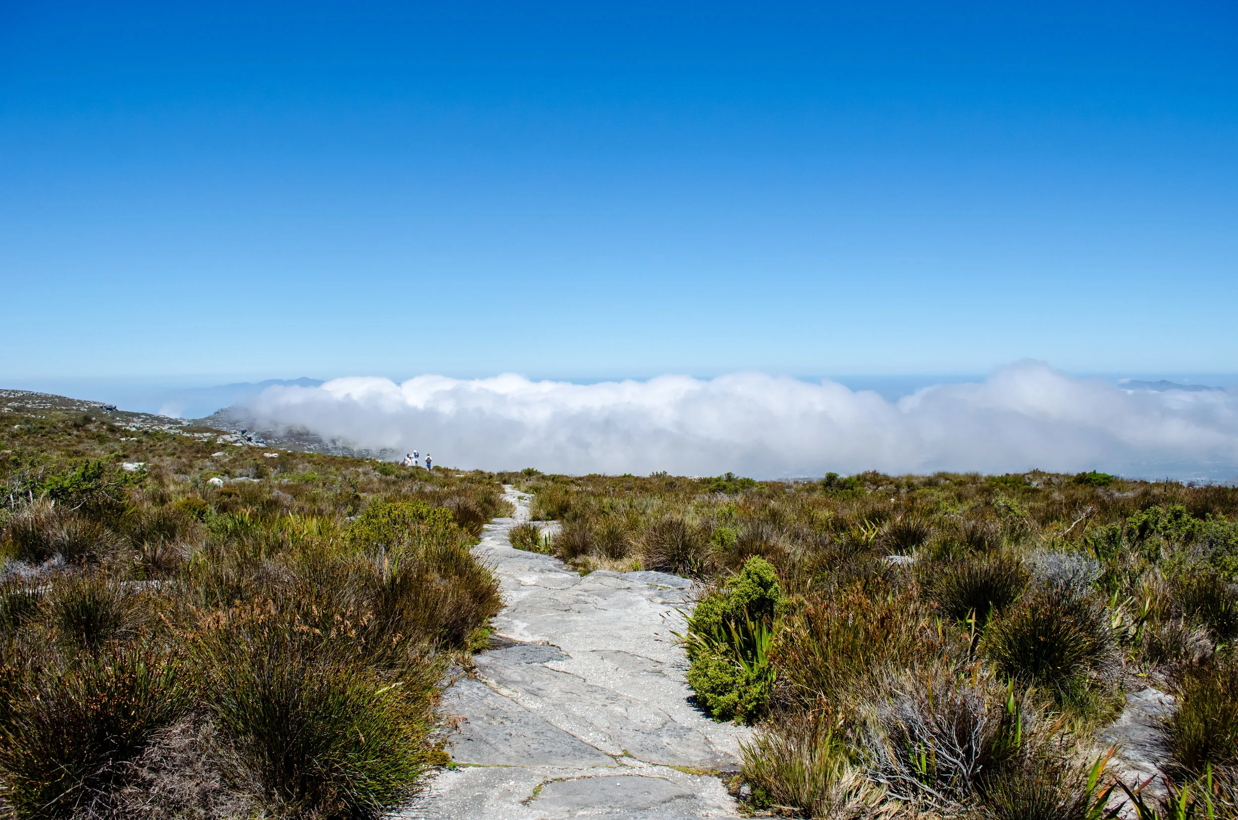 table-mountain-walk-clouds.jpg