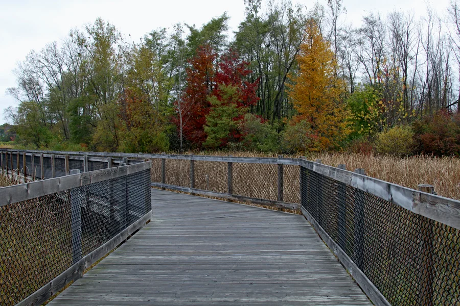 River Walk trail in Autumn