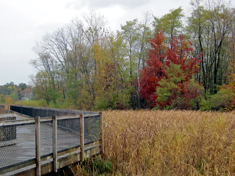 river walk and field in Autumn