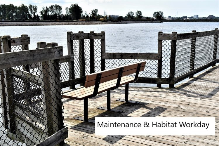 Maintenance & Habitat Committees Work Day