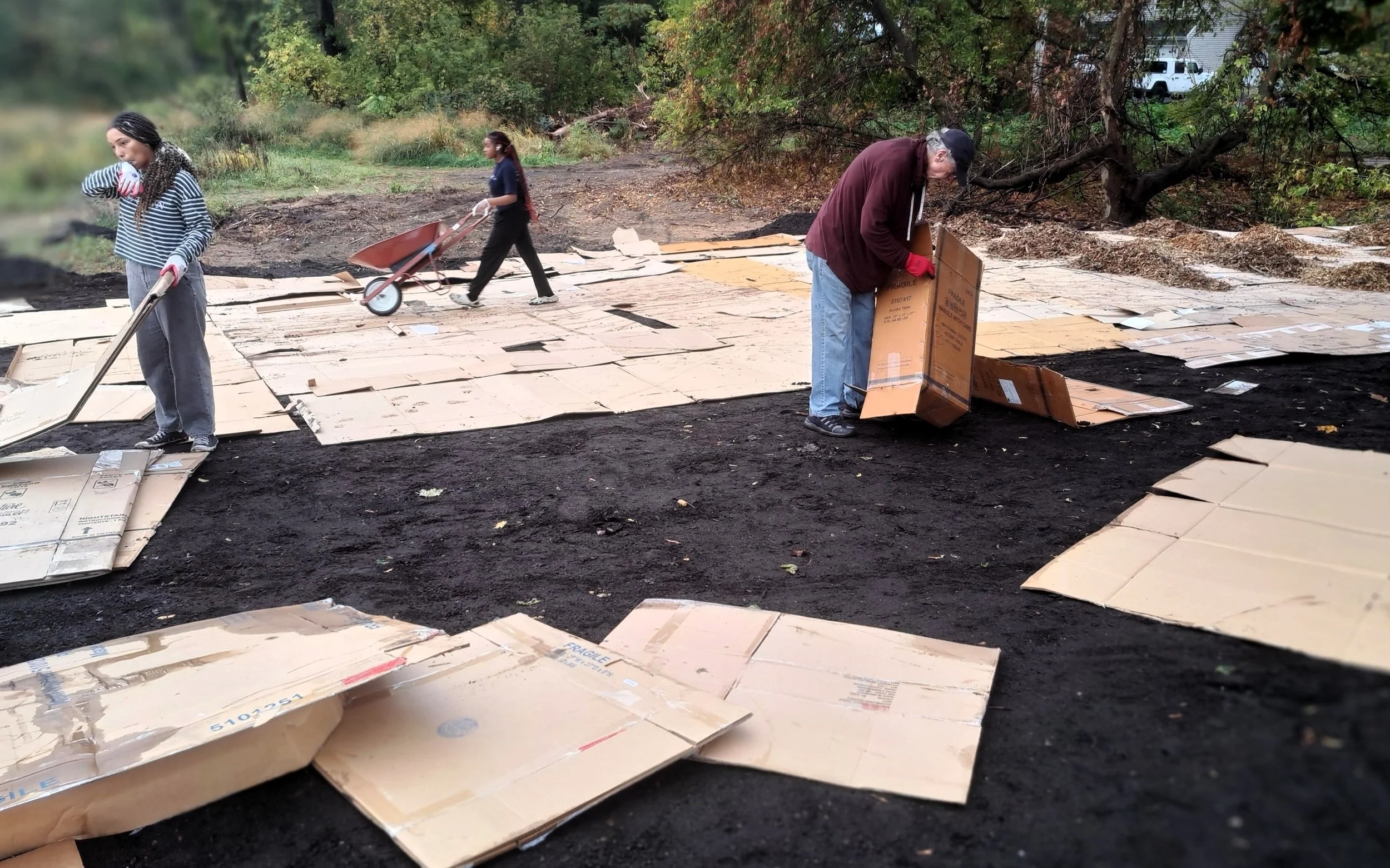 Micro Forest Work Bee October 18, 2025 (3).jpg