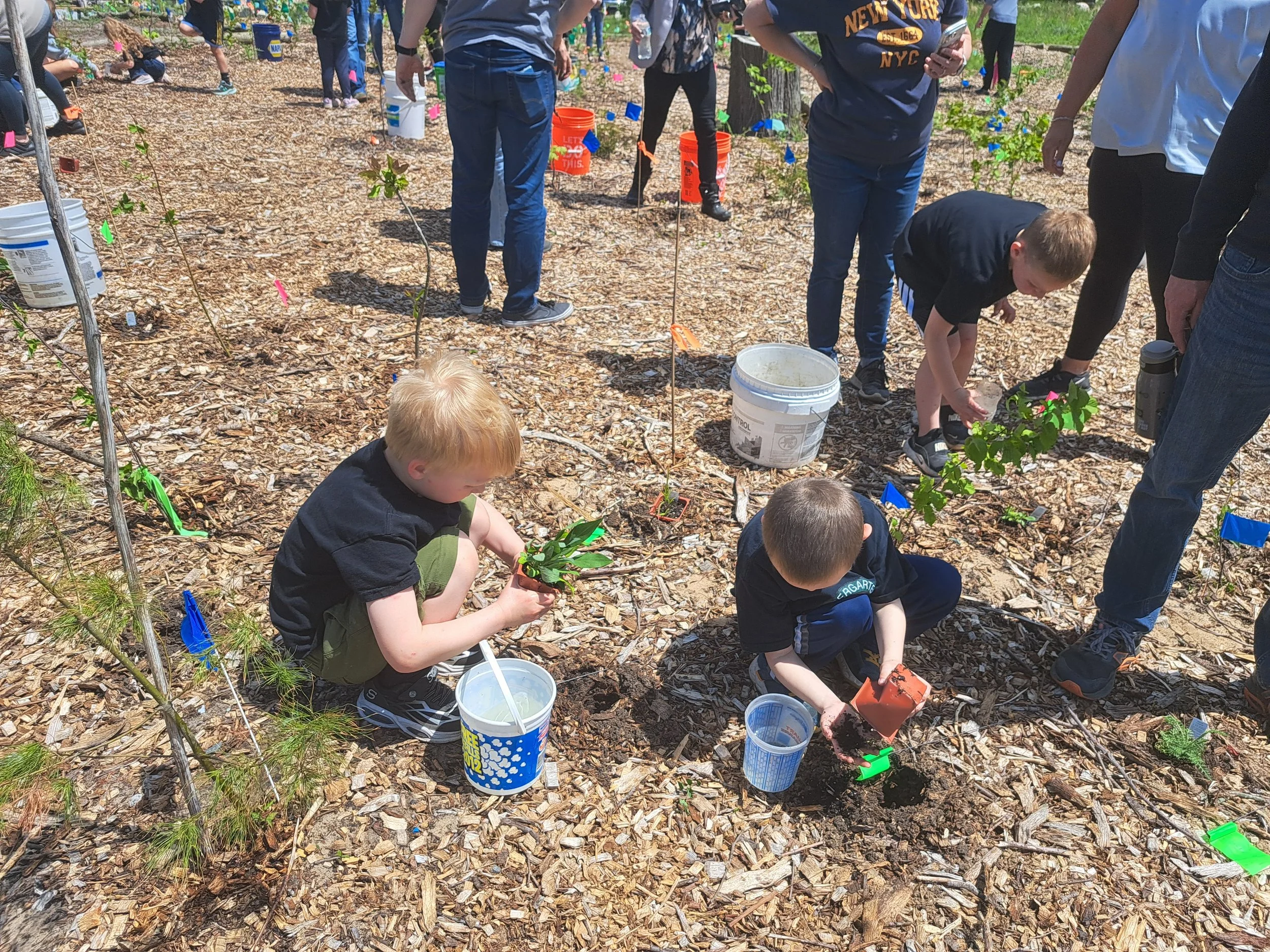 Penn Elementary Microforest Planting(5).jpg