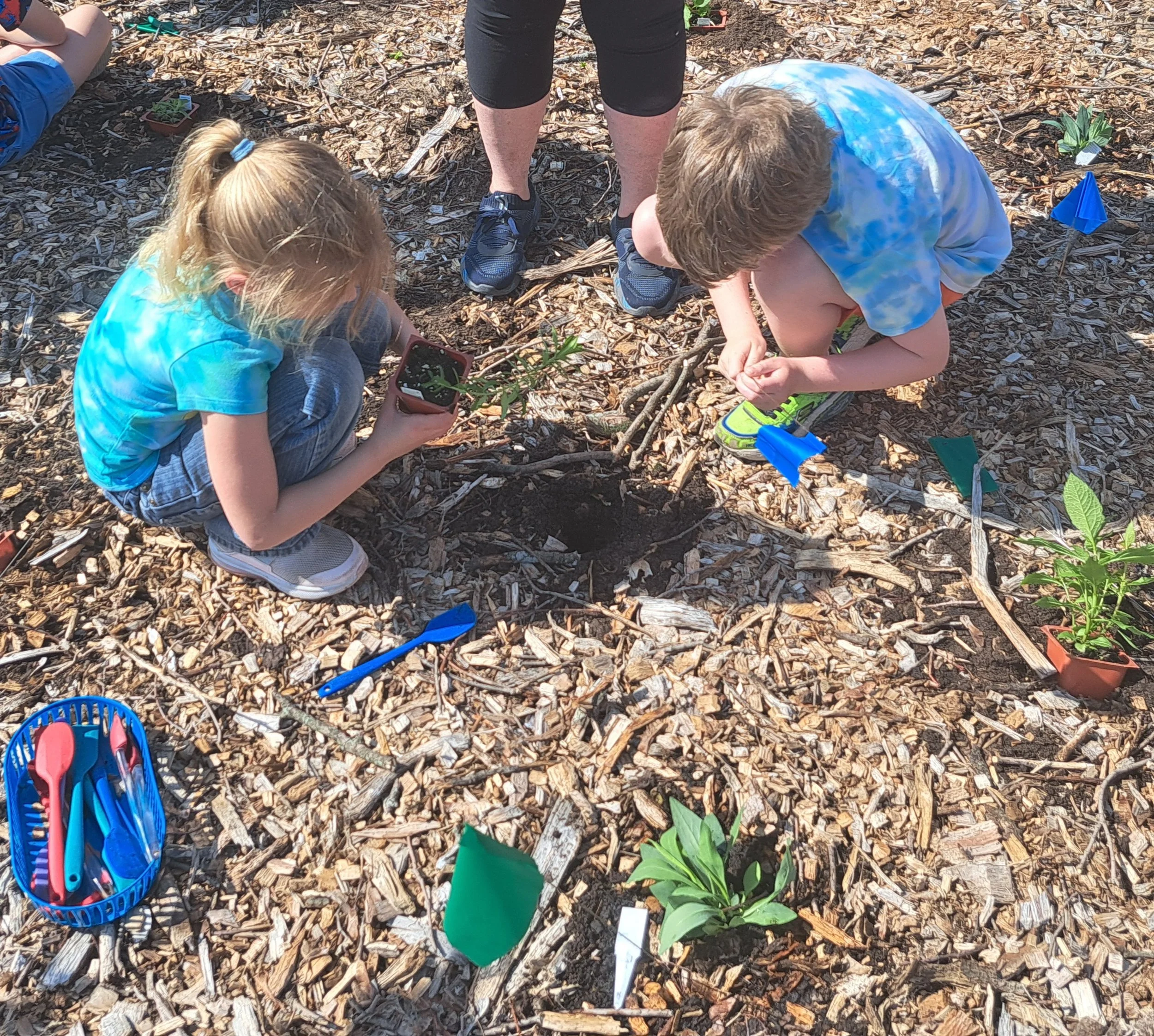 R.P. Central Elementary Microforest Planting (9).jpg
