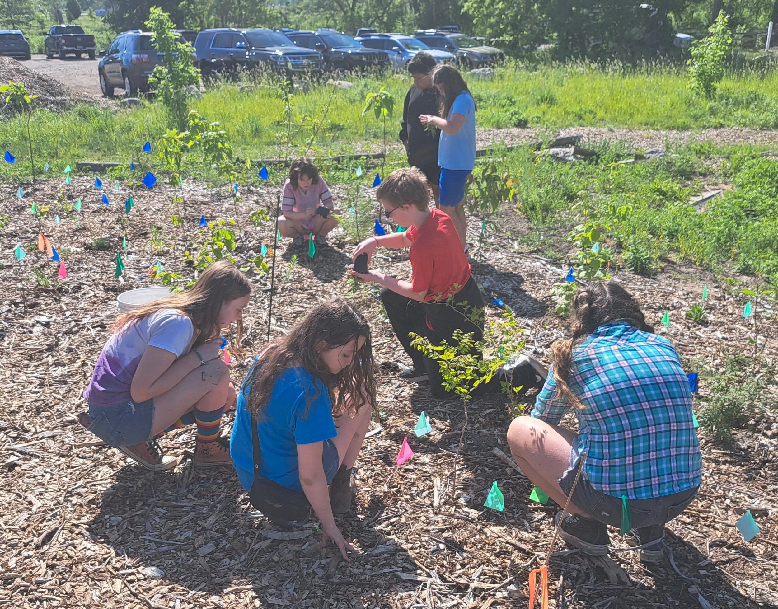 RPIS Microforest Planting (5).jpg