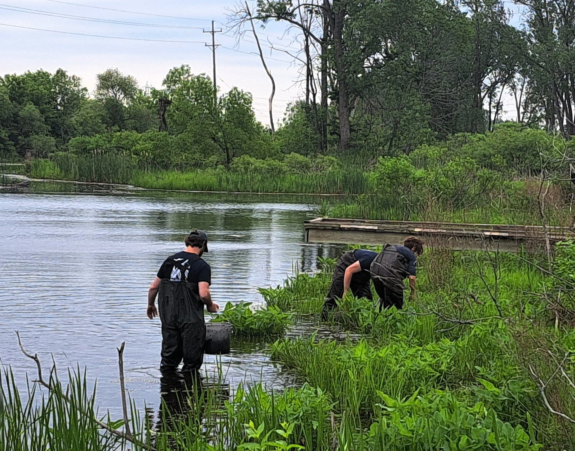 Plant Patrol Training