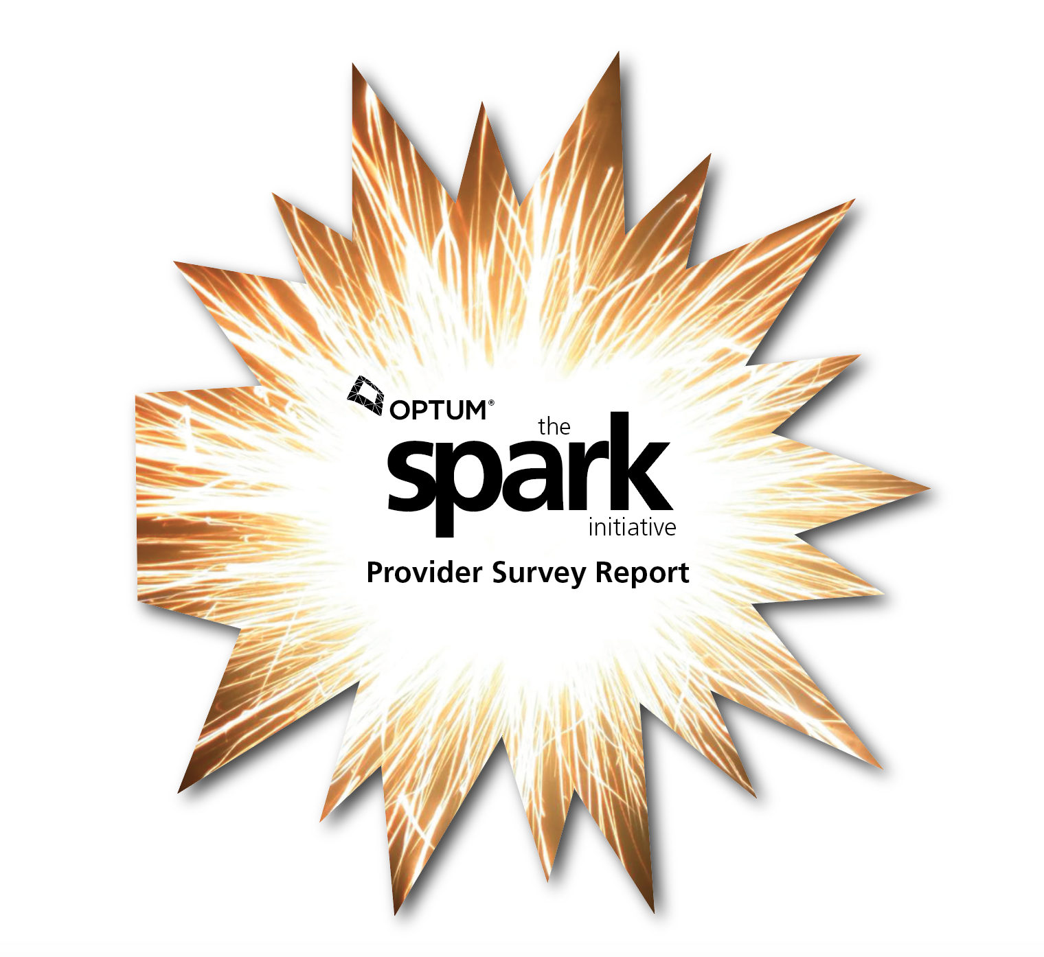 Optum Spark Conference Room Drop