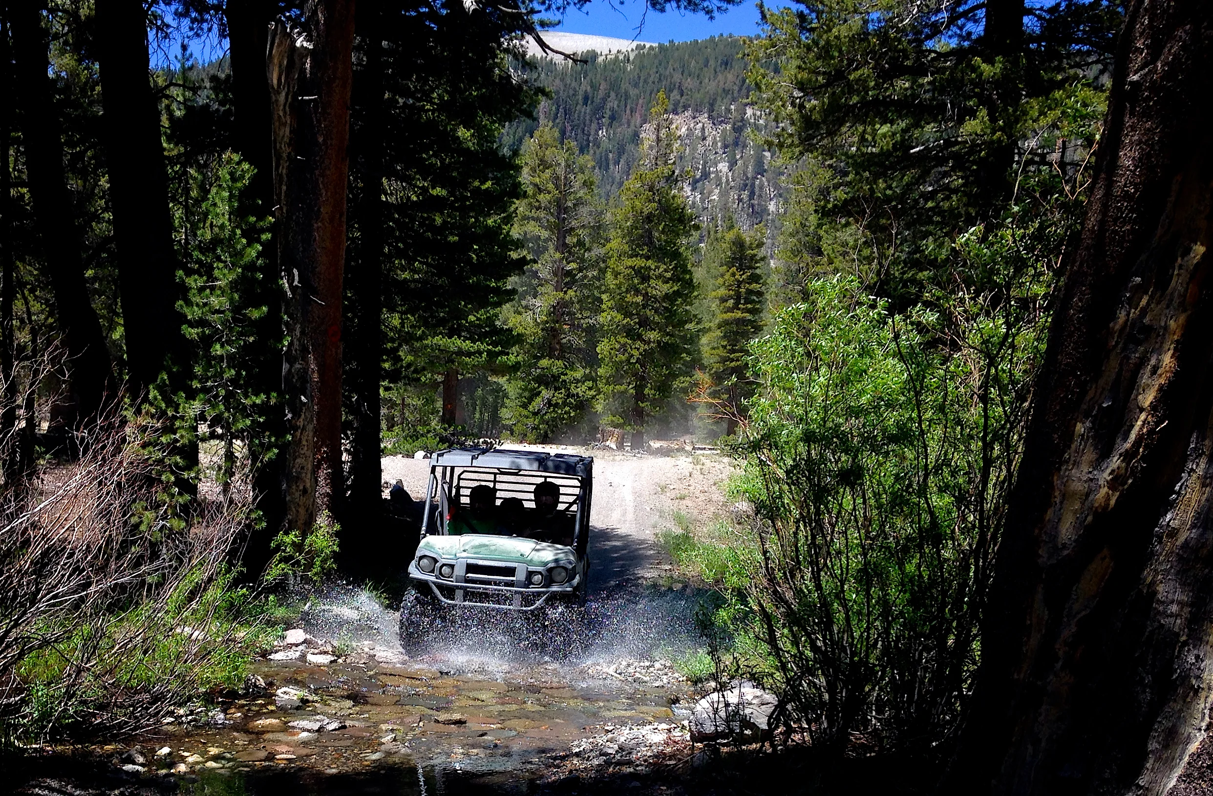 ATVs — ATV Tours Rentals CA & TX Los Angeles San Francisco ...