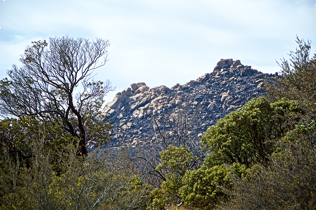 Lake Arrowhead — ATV Tours Rentals CA & TX Los Angeles San