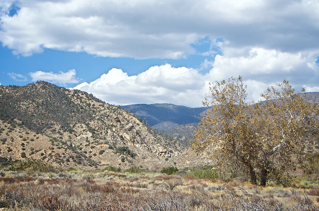 Los Angeles / Hungry Valley — ATV Tours Rentals CA & TX Los Angeles San