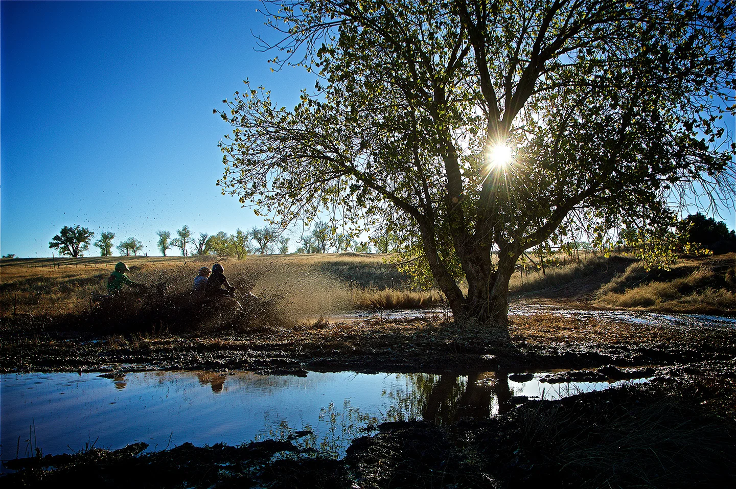 Sacramento / Prairie City — ATV Tours Rentals CA & TX Los Angeles San