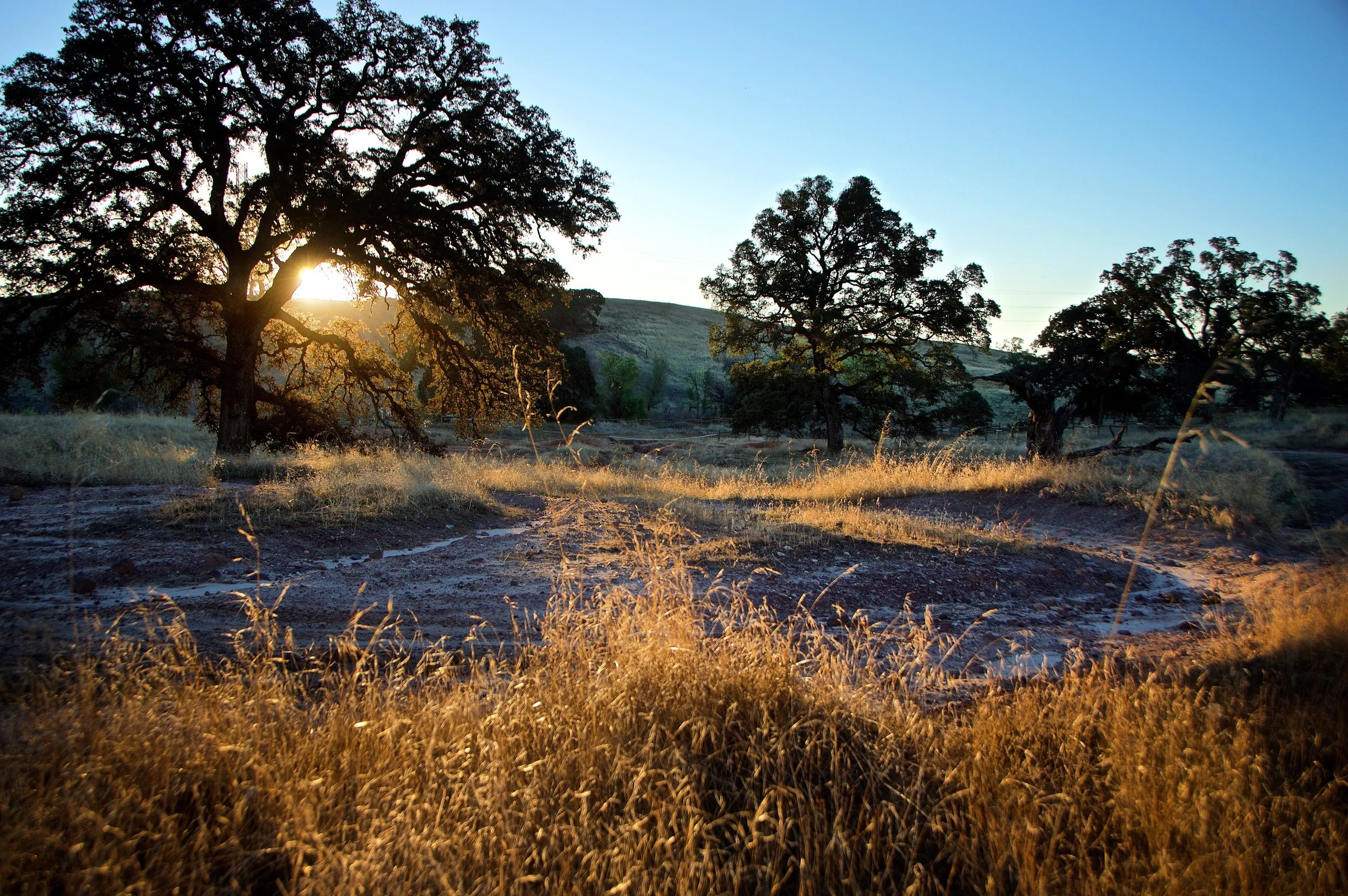 Sacramento / Prairie City — ATV Tours Rentals CA & TX Los Angeles San